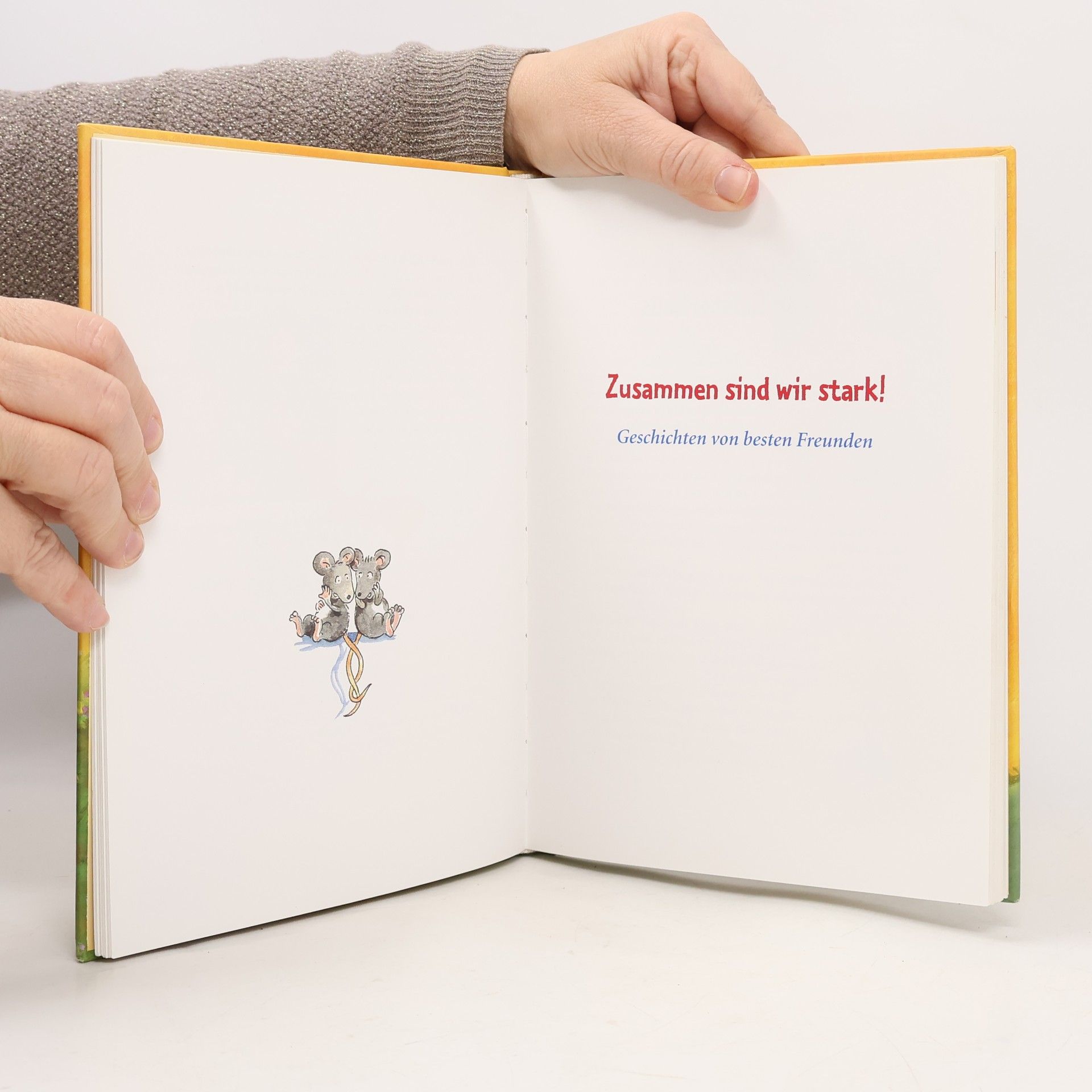 Kolektiv autorů Gute Freunde schaffen alles!