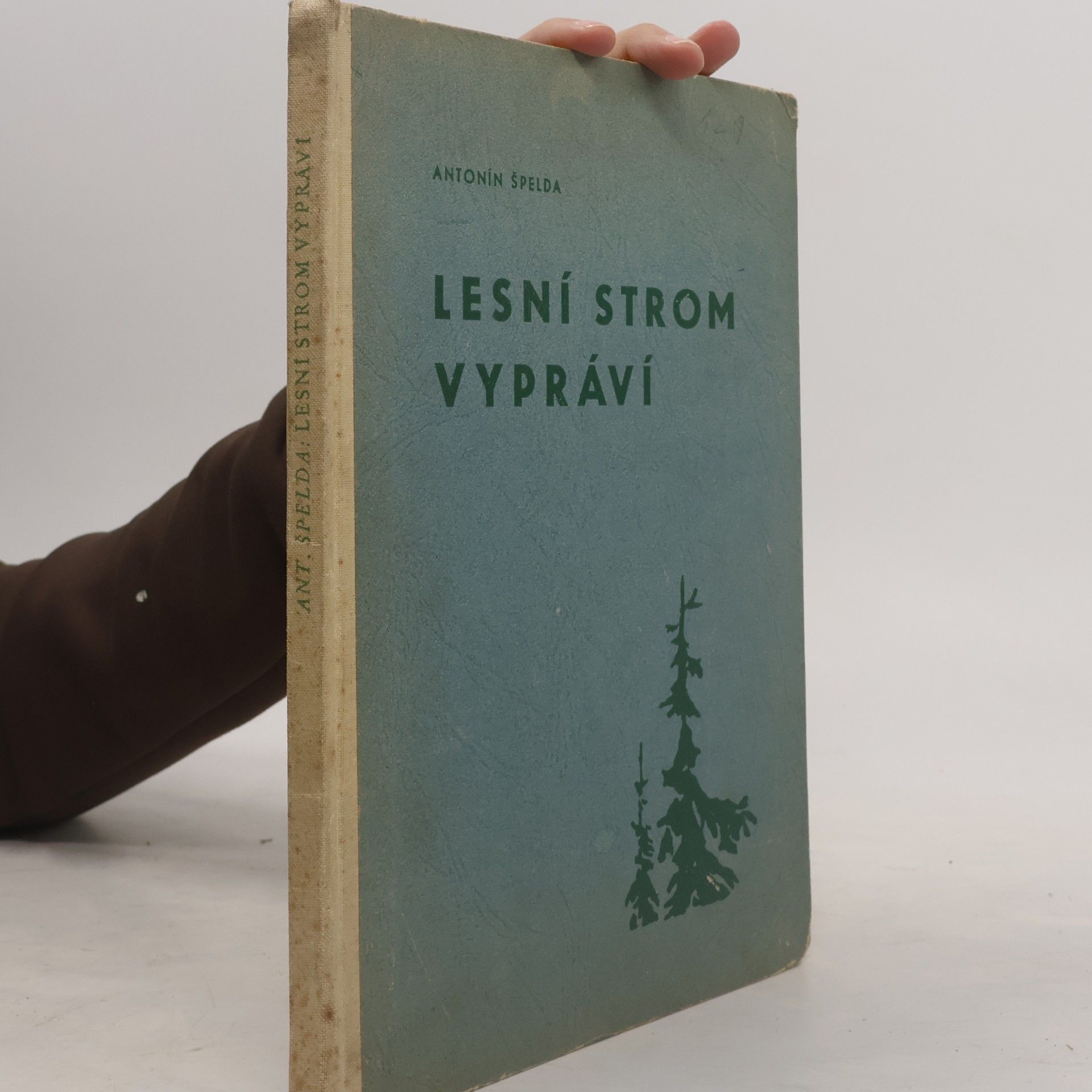 Lesní strom vypráví