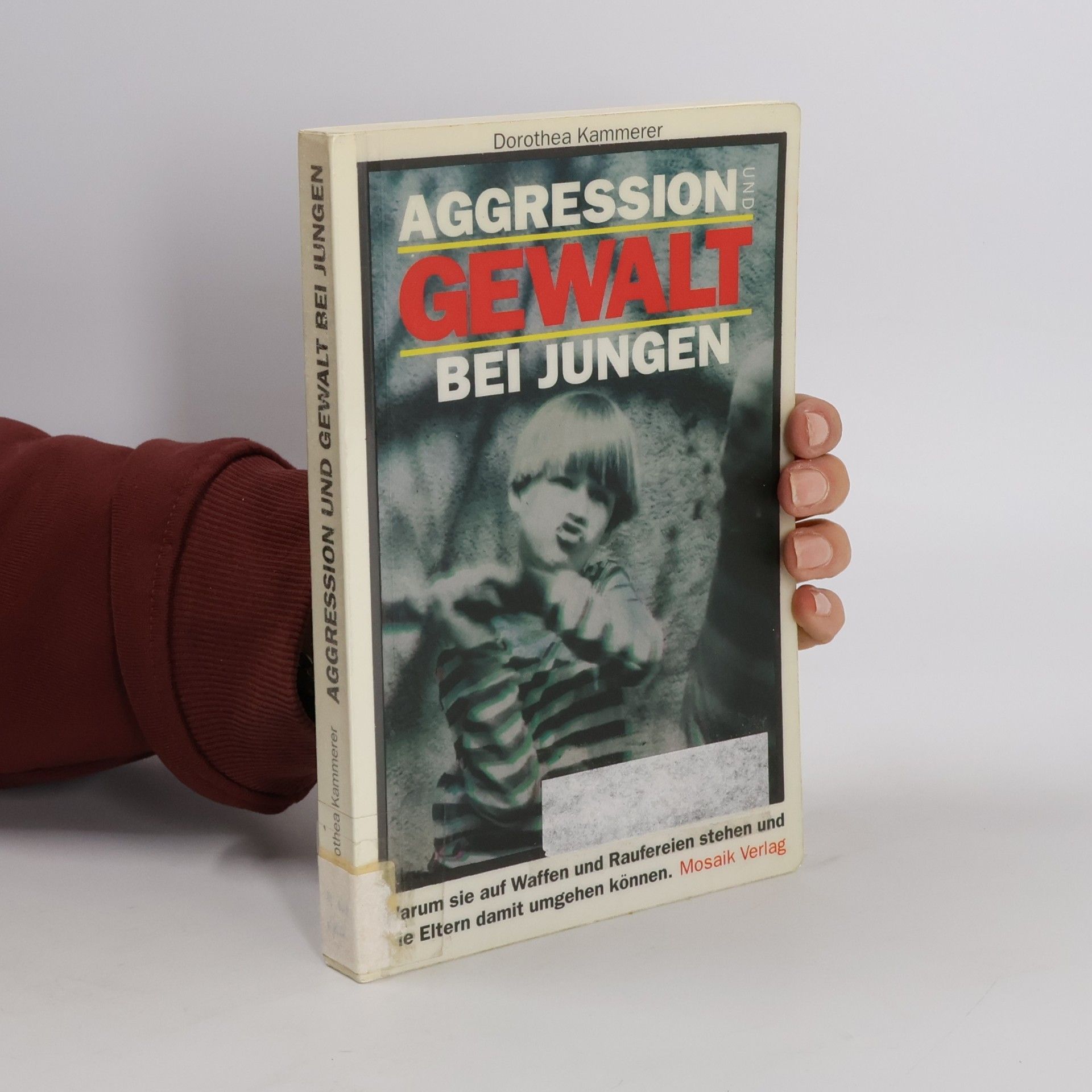 Aggression und Gewalt bei Jungen
