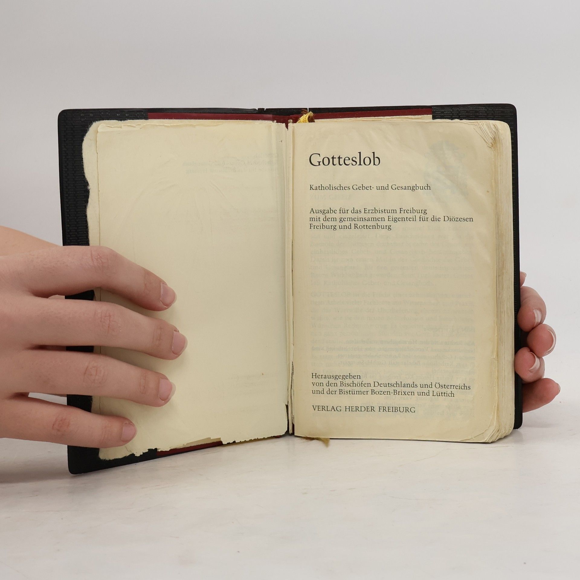 Auteurscollectief Gotteslob. Katholisches Gebet und Gesangbuch