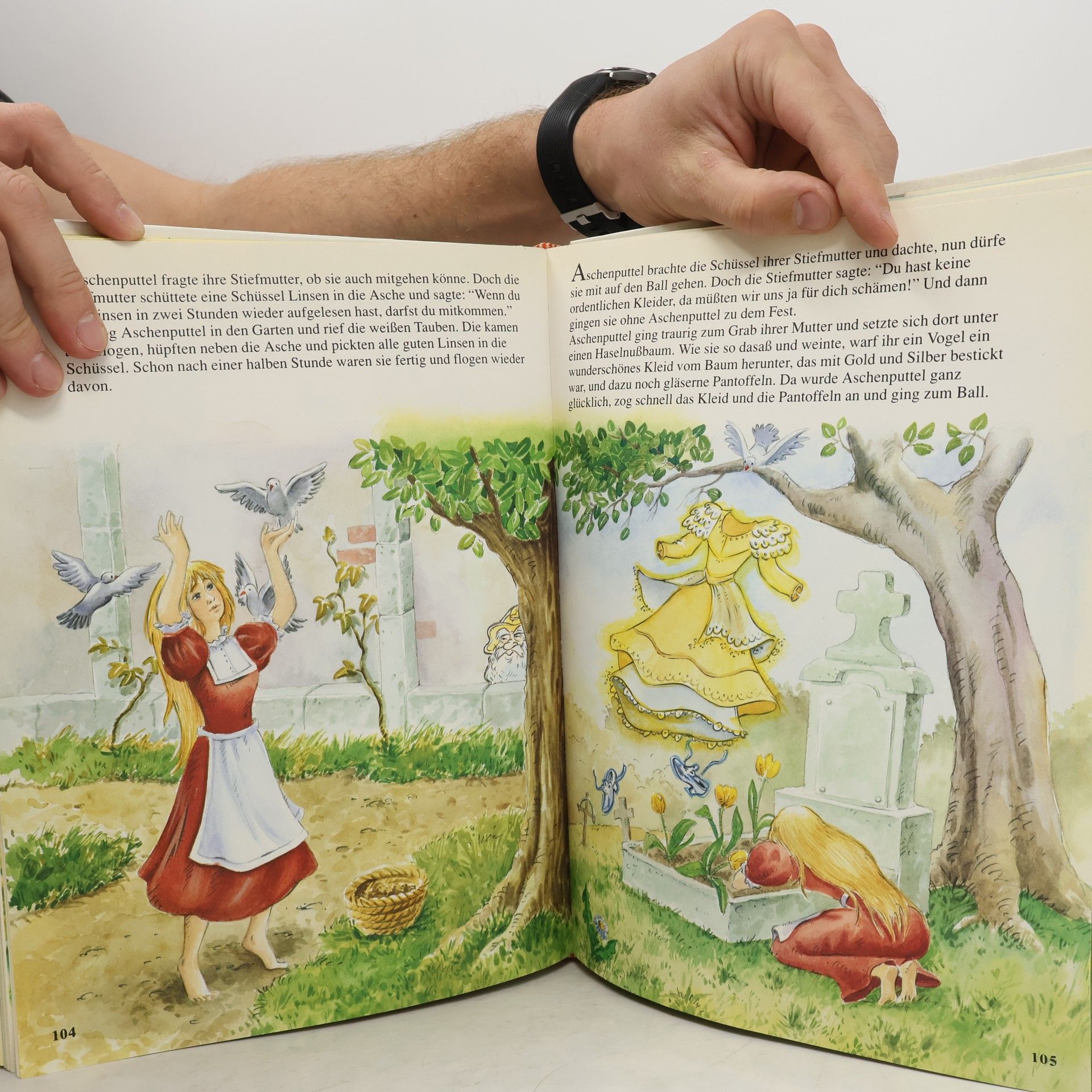 Autorenkollektiv Im Reich der Märchen
