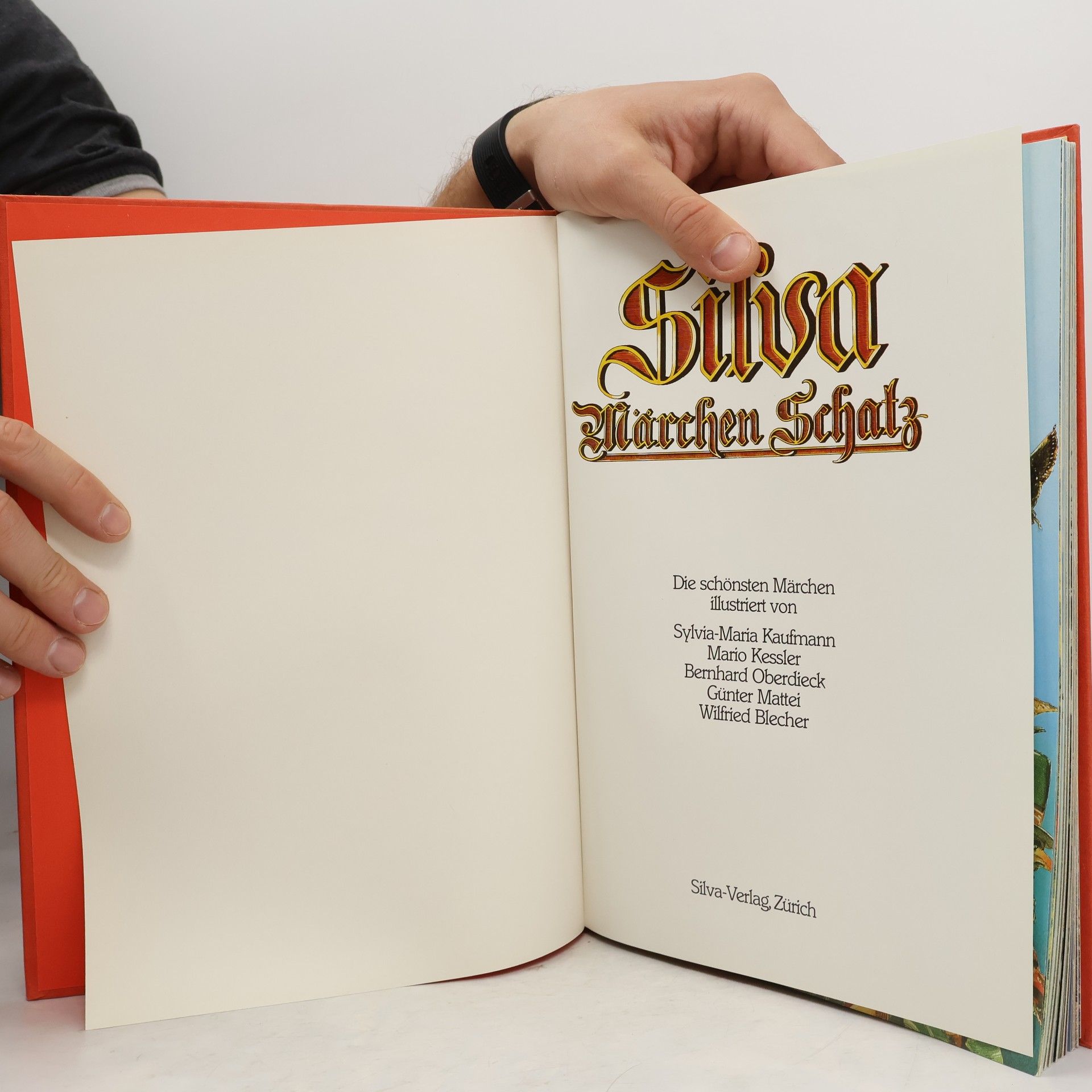 Autorenkollektiv Silva Märchen Schatz