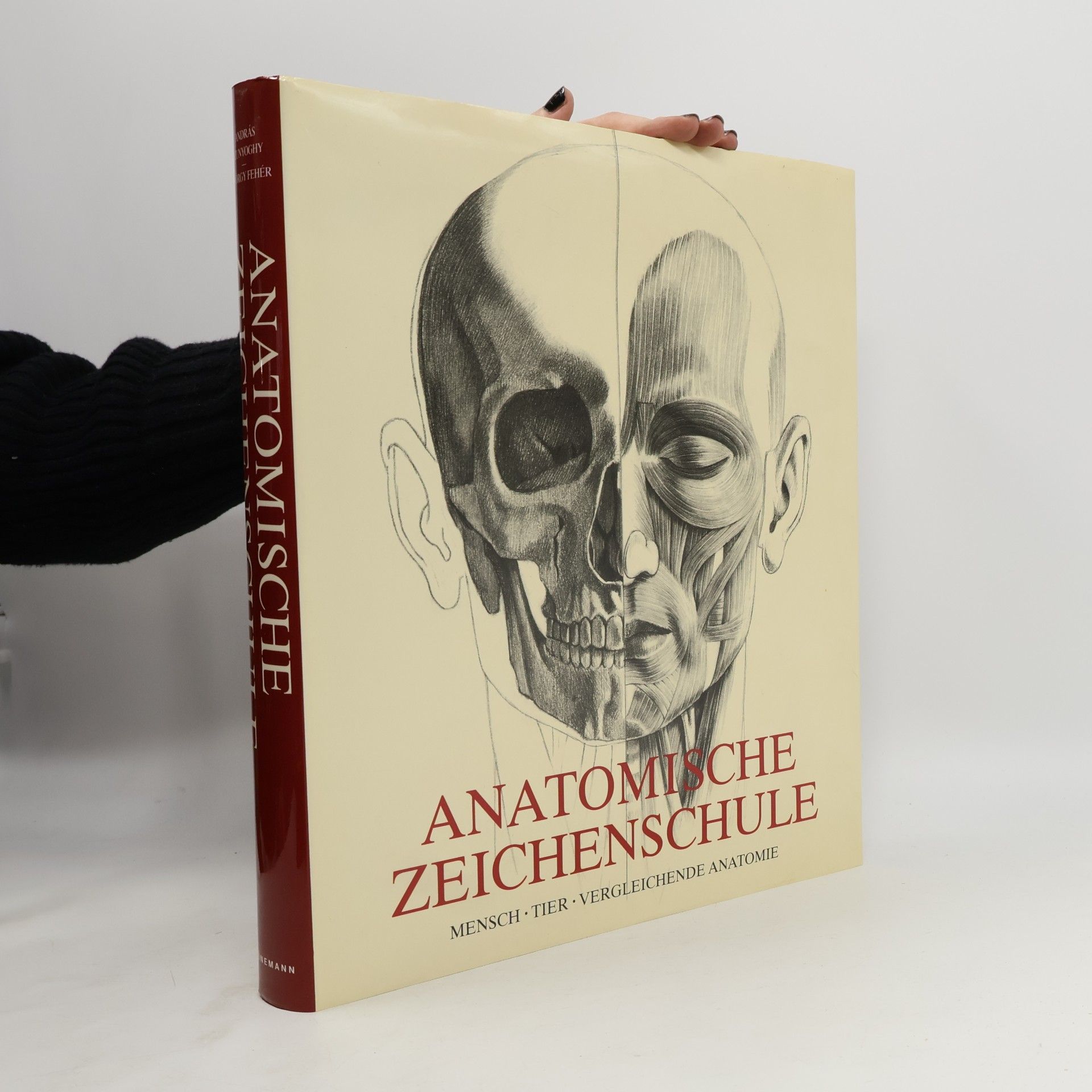 András Szunyoghy Anatomische Zeichenschule