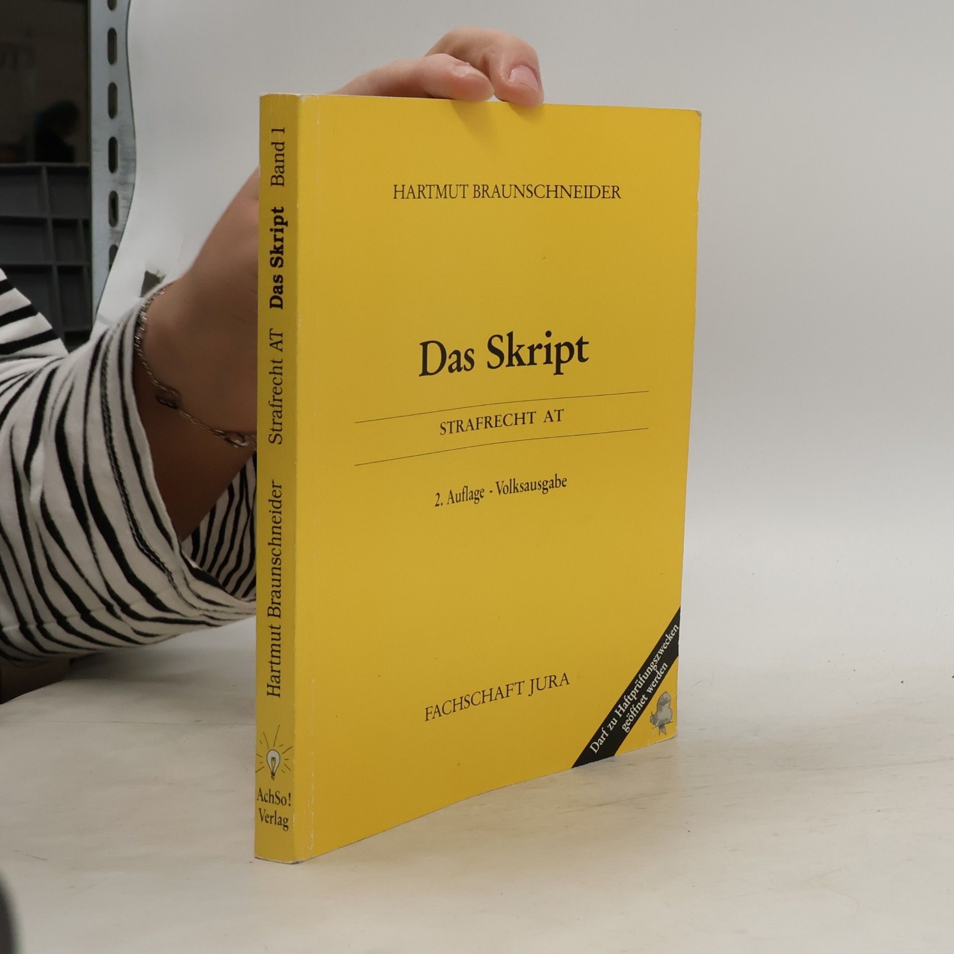 Hartmut Braunschneider Das Skript