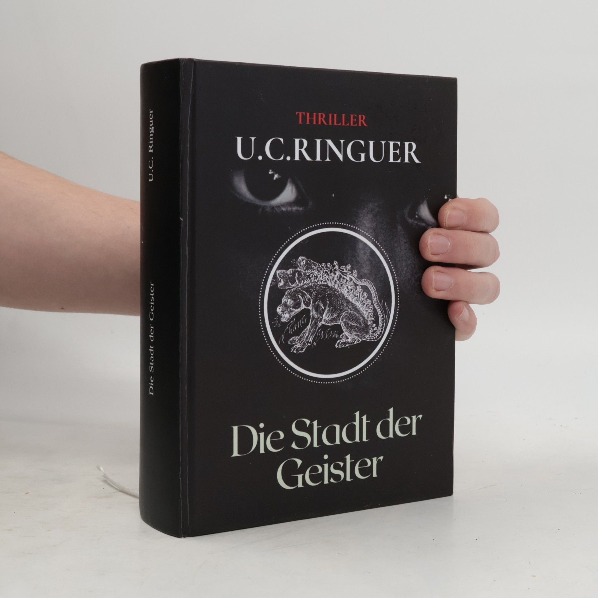 U. C. Ringuer Die Stadt der Geister