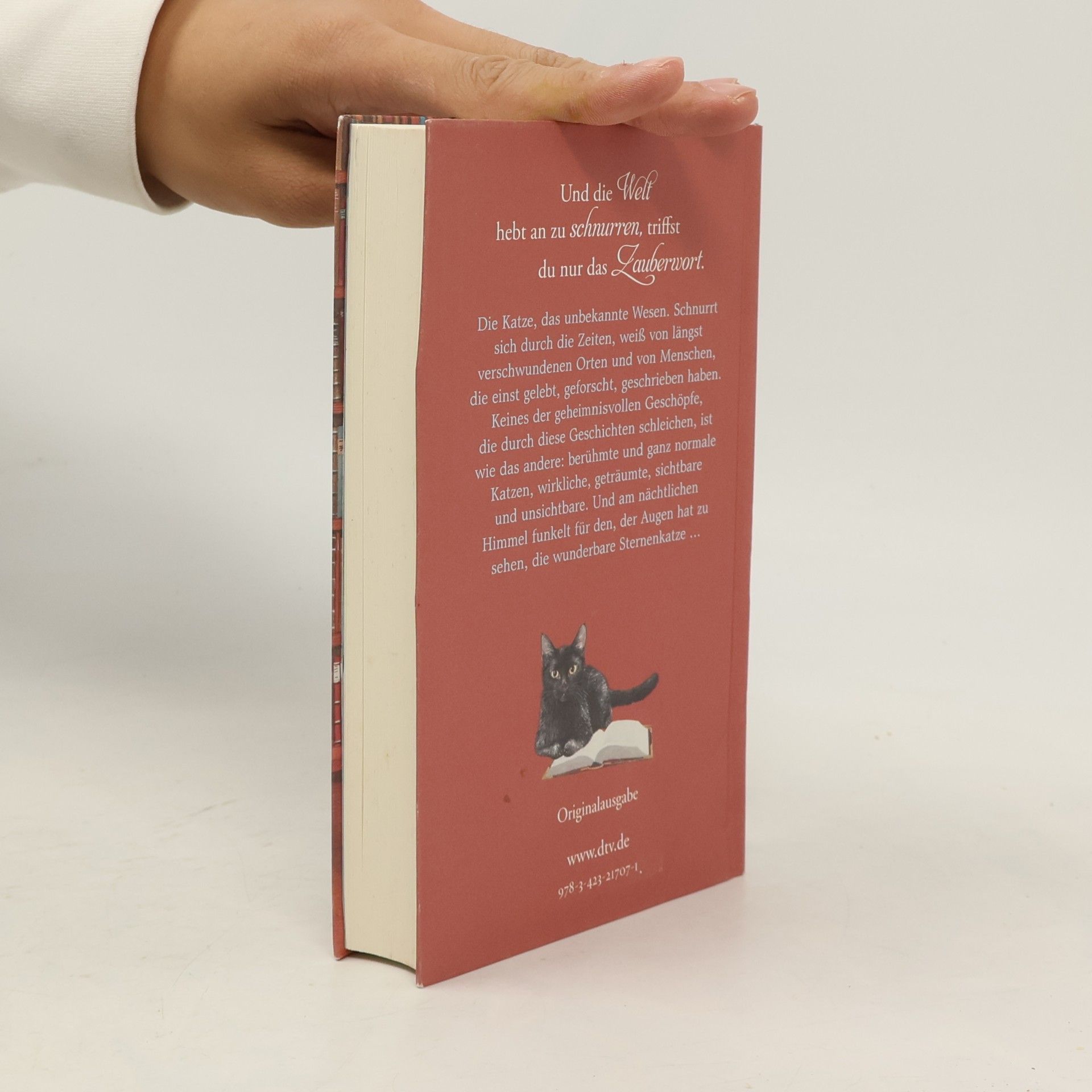 Eva Berberich Die Bücherkatze