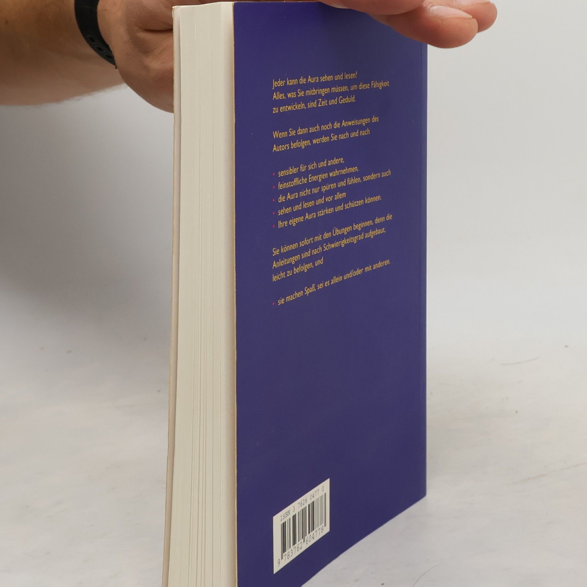 Ted Andrews Die Aura sehen und lesen