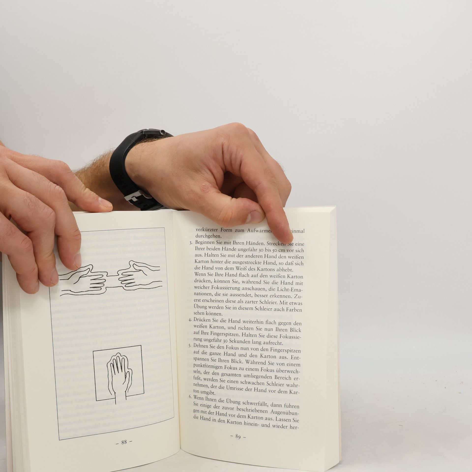 Ted Andrews Die Aura sehen und lesen