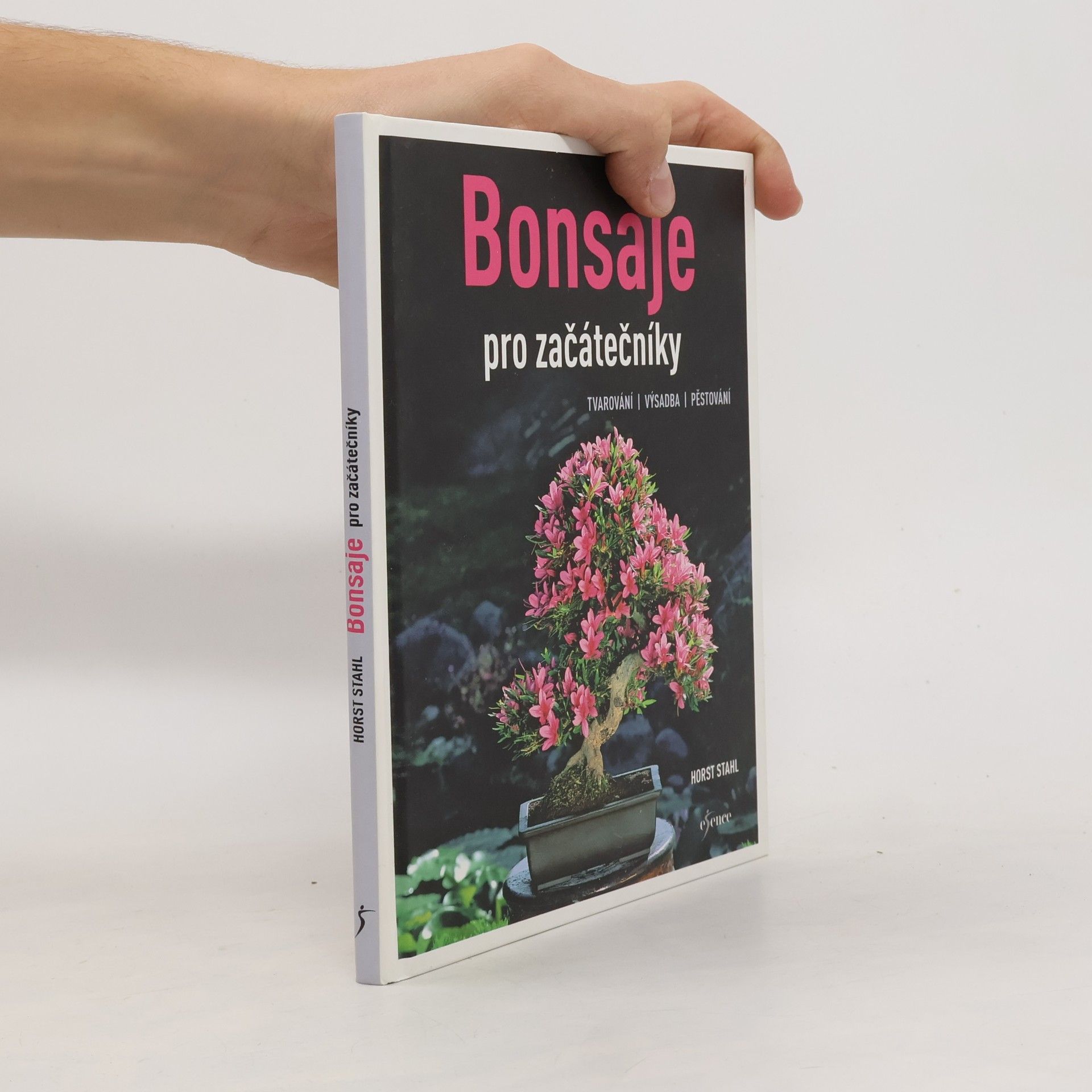 Bonsaje pro začátečníky