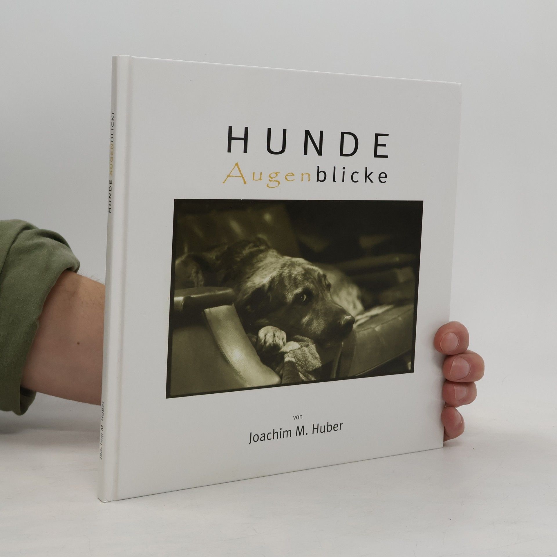 Joachim M. Huber Hunde-Augenblicke