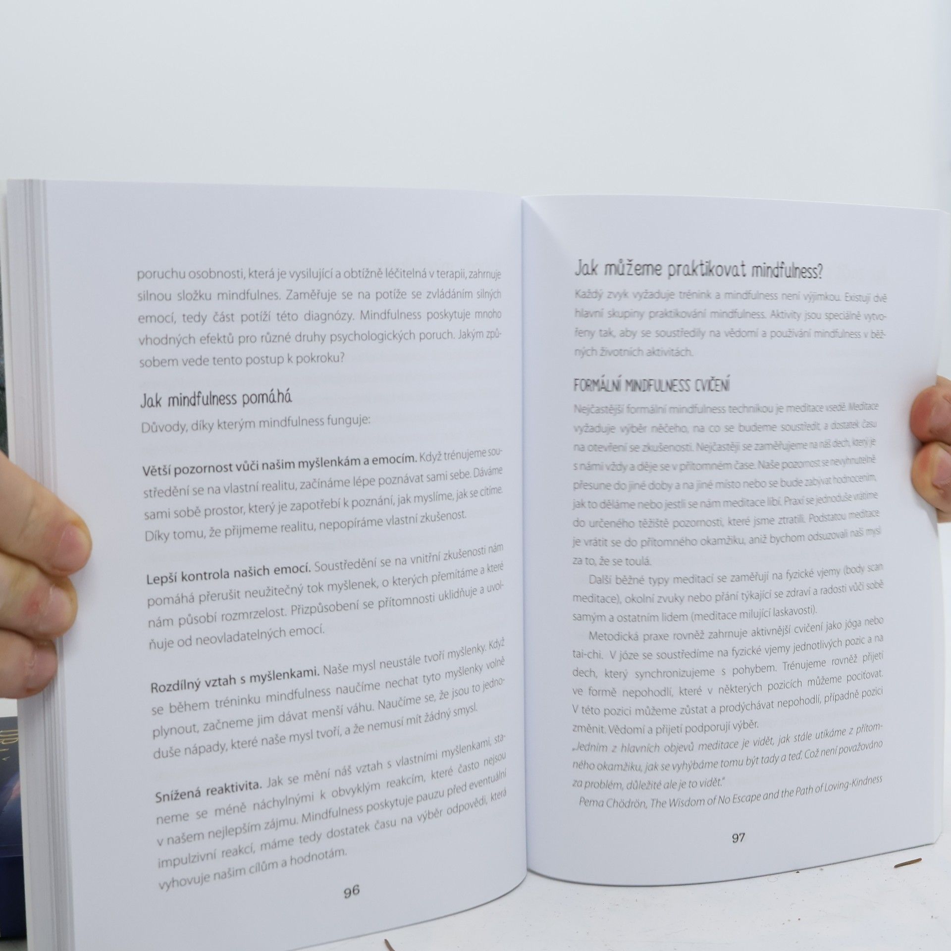 Seth Gillihan 10 kroků ke zvládnutí psychické nepohody: Sám sobě psychologem s kognitivně behaviorální terapií