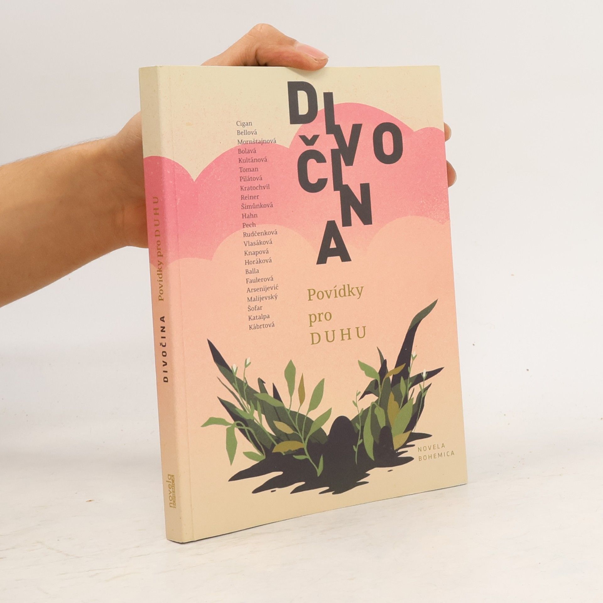 Jan Vladislav Divočina - Povídky pro Duhu