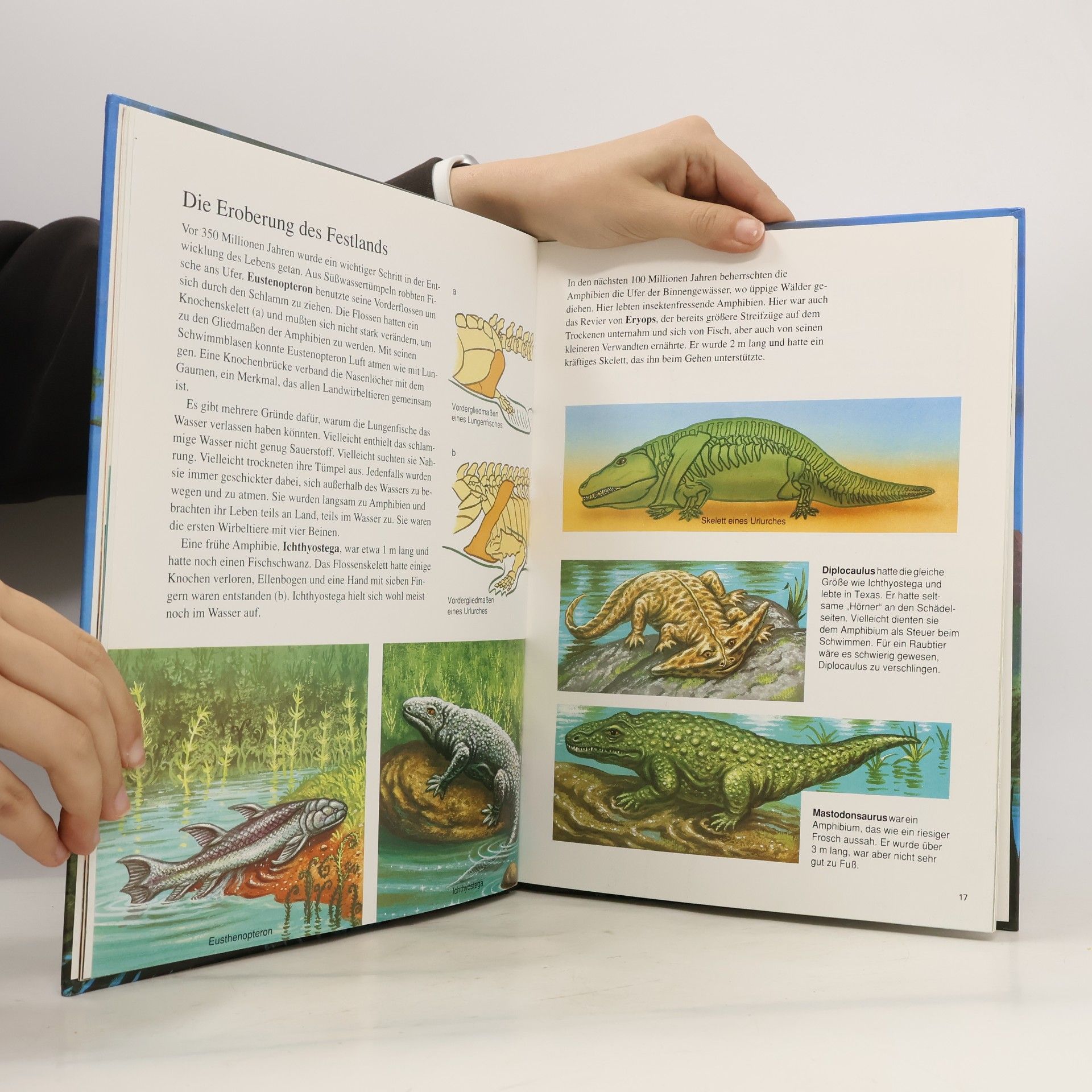 David A. Hardy Das große Buch der Dinosaurier