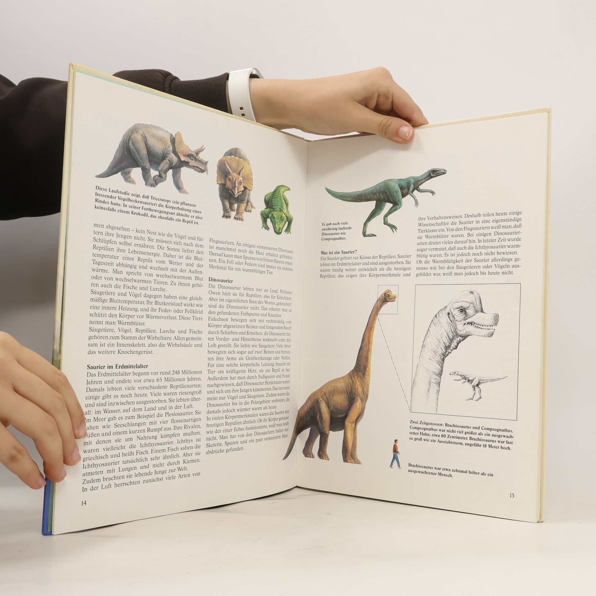 Peter Klepsch Das große Buch der Saurier