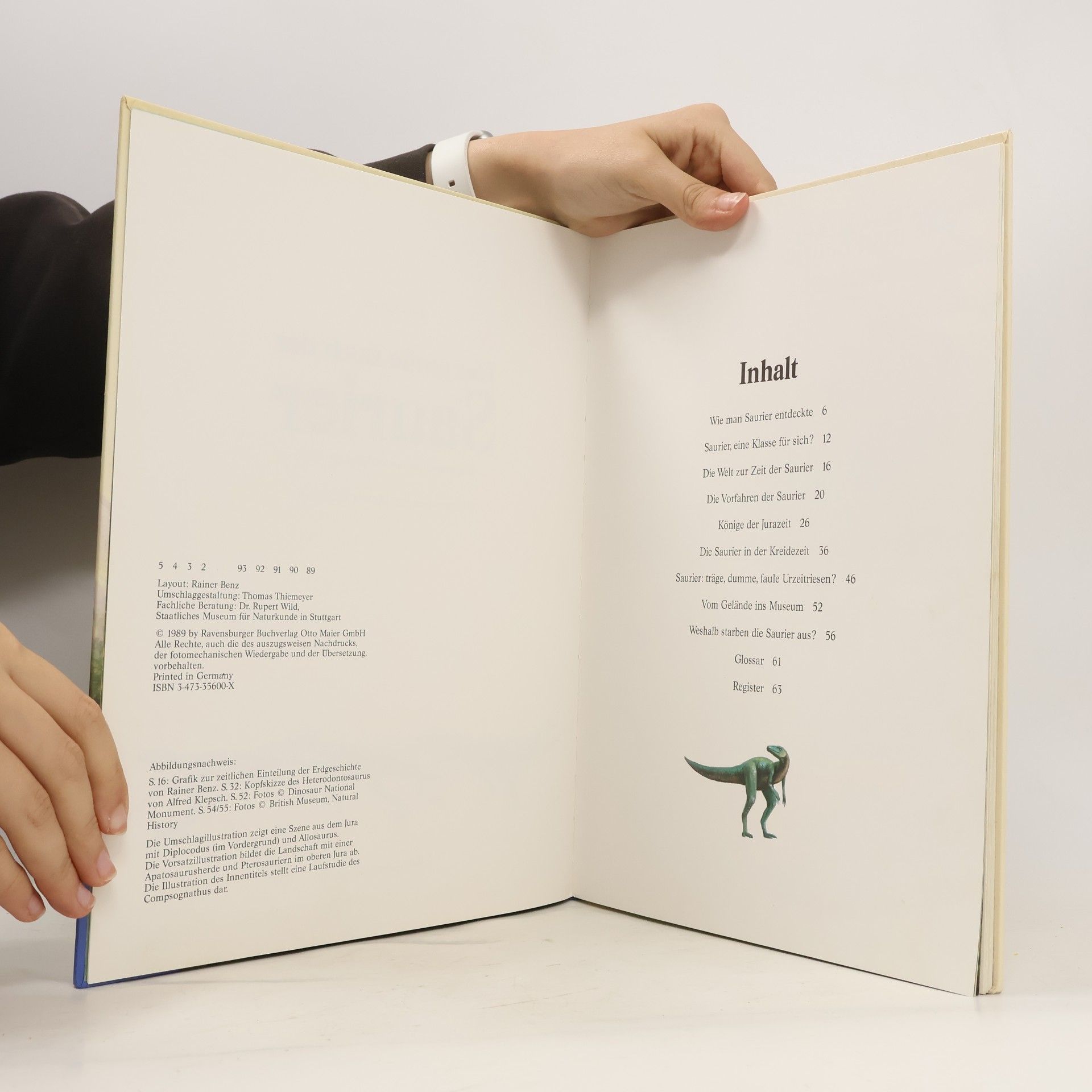Peter Klepsch Das große Buch der Saurier
