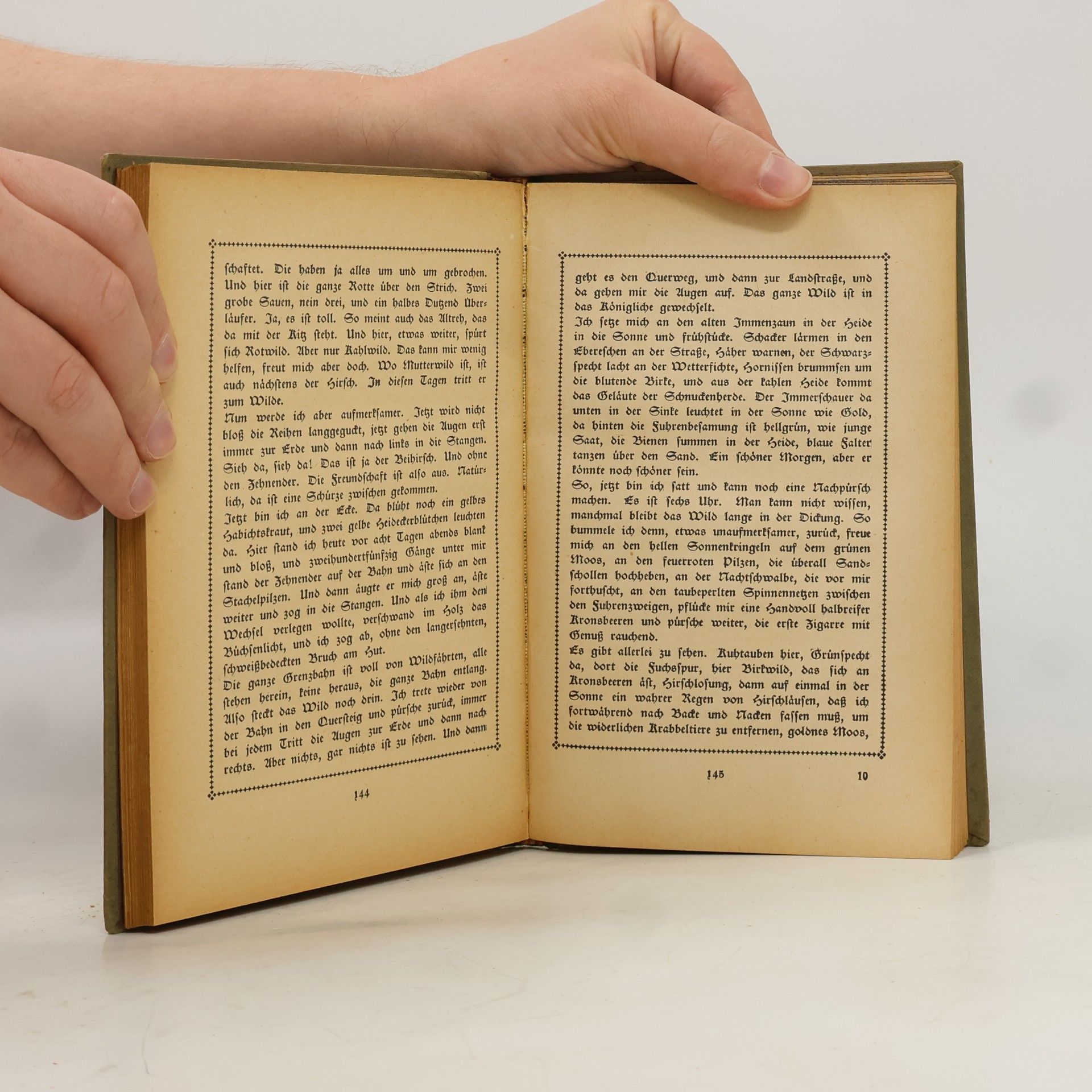 Hermann Löns Mein grünes Buch. Jagdschilderungen