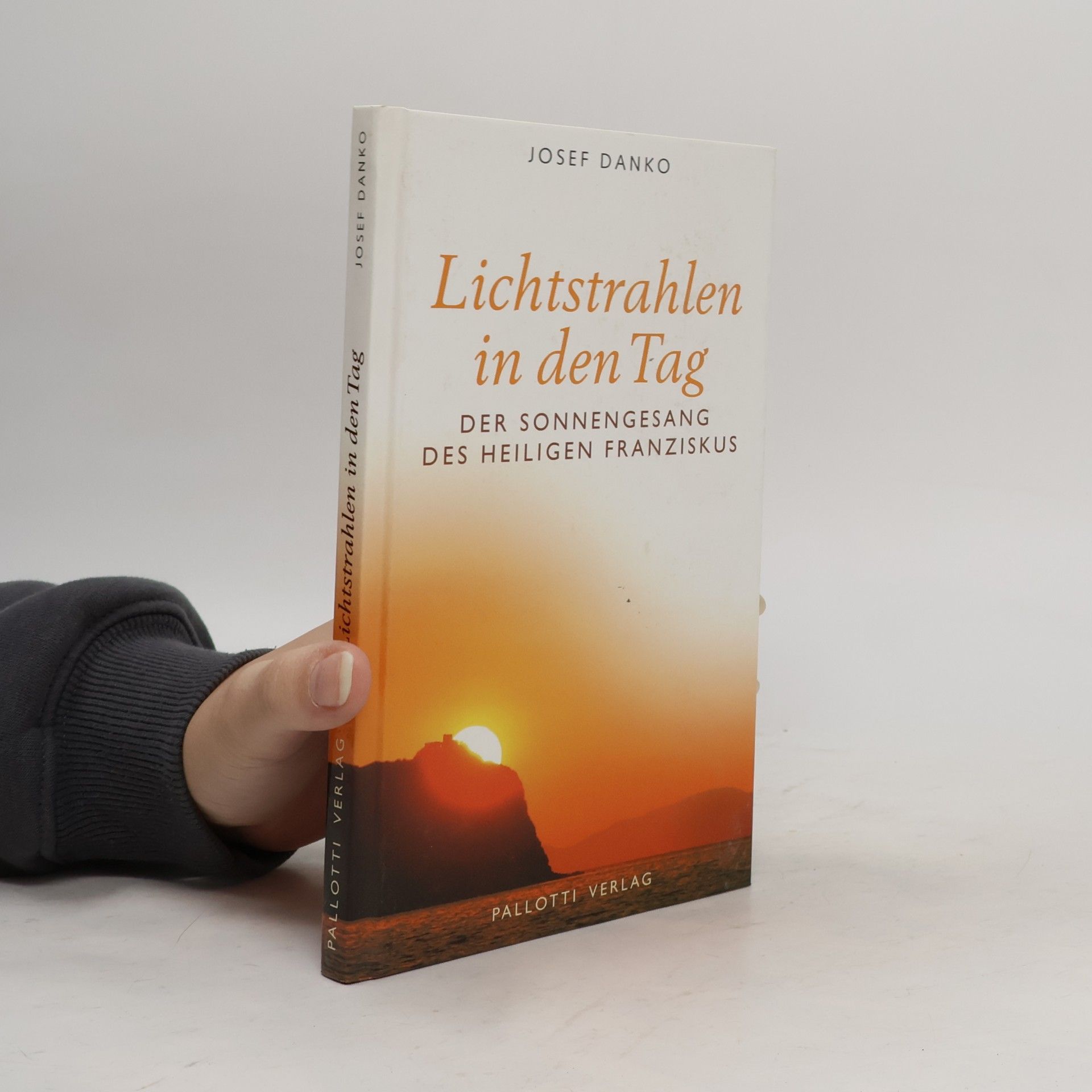 Josef Danko Lichtstrahlen in den Tag