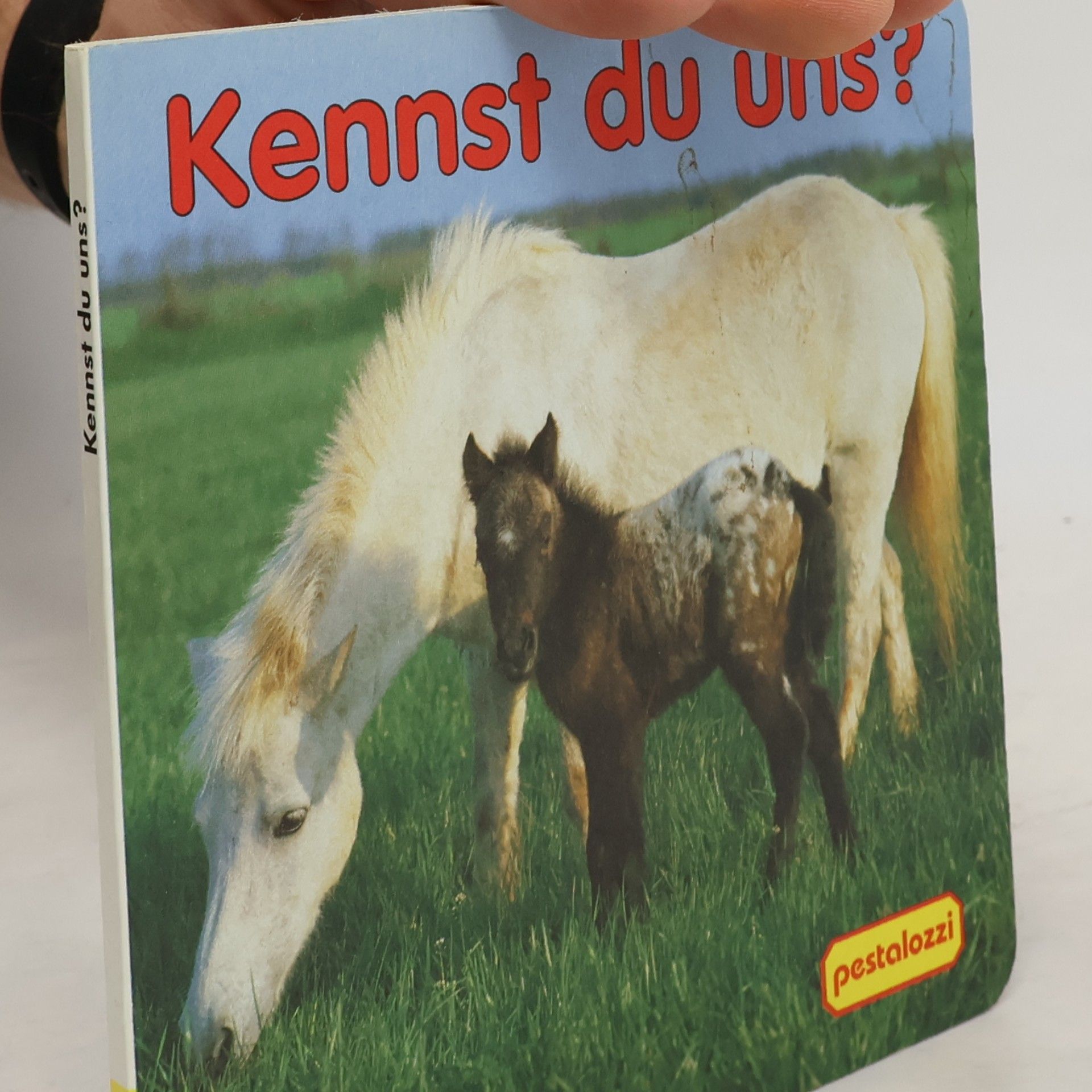 Collectif d'auteurs Spiel mit uns!