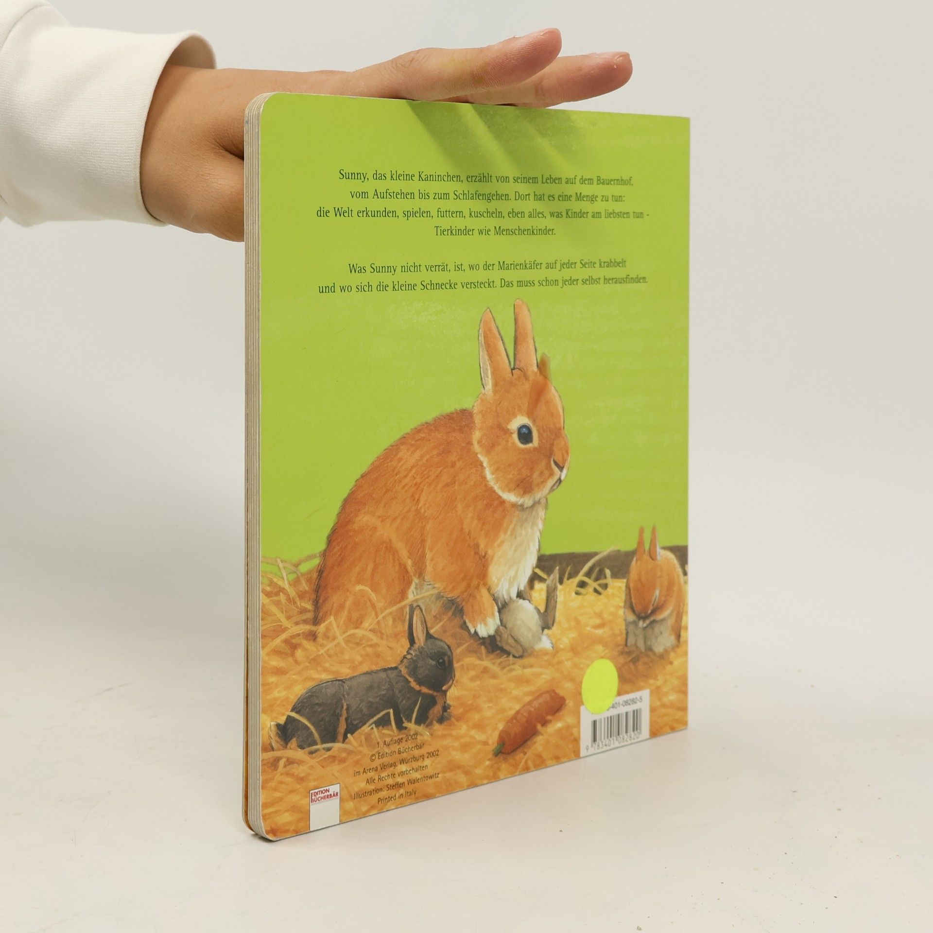 Steffen Walentowitz Sunny, das kleine Kaninchen