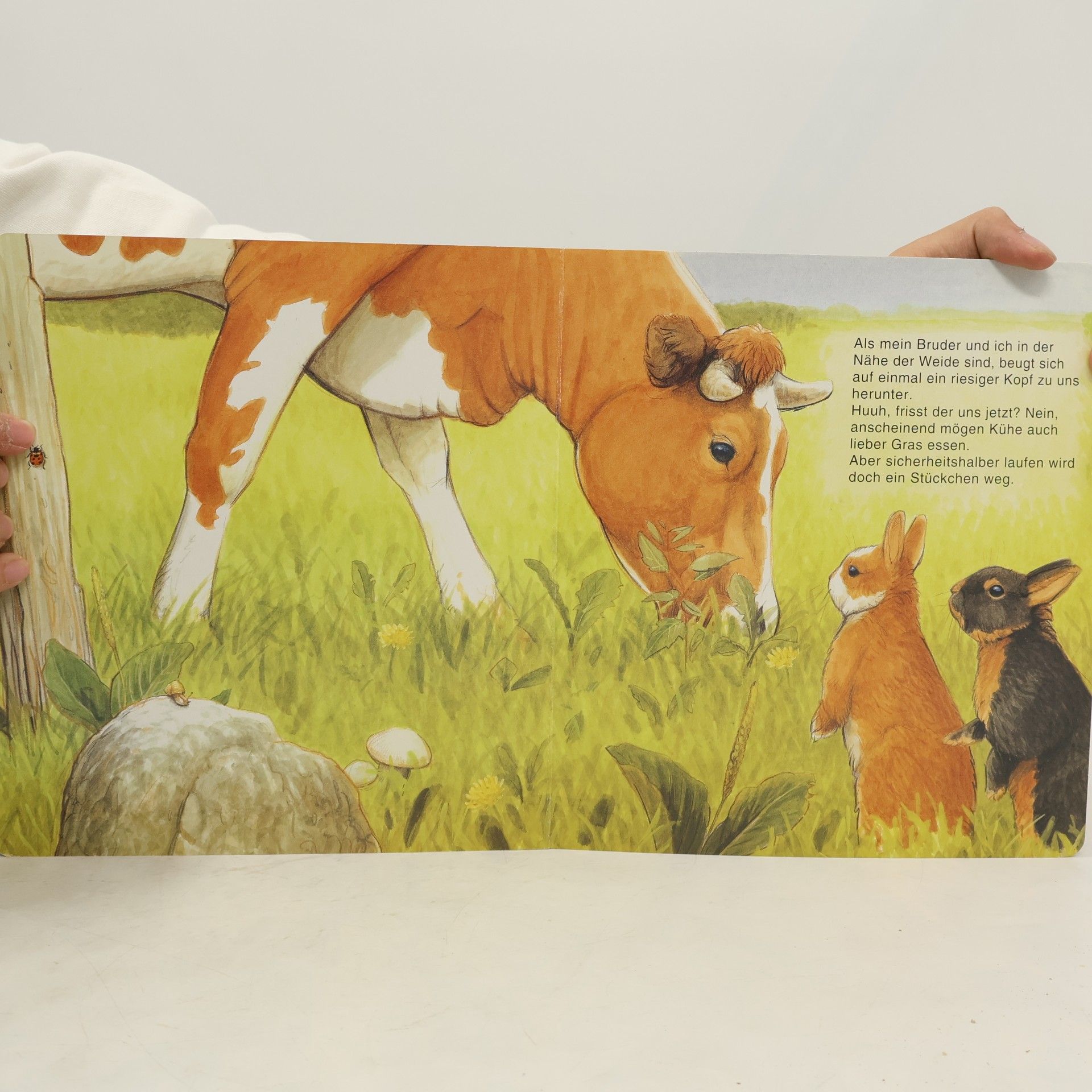 Steffen Walentowitz Sunny, das kleine Kaninchen