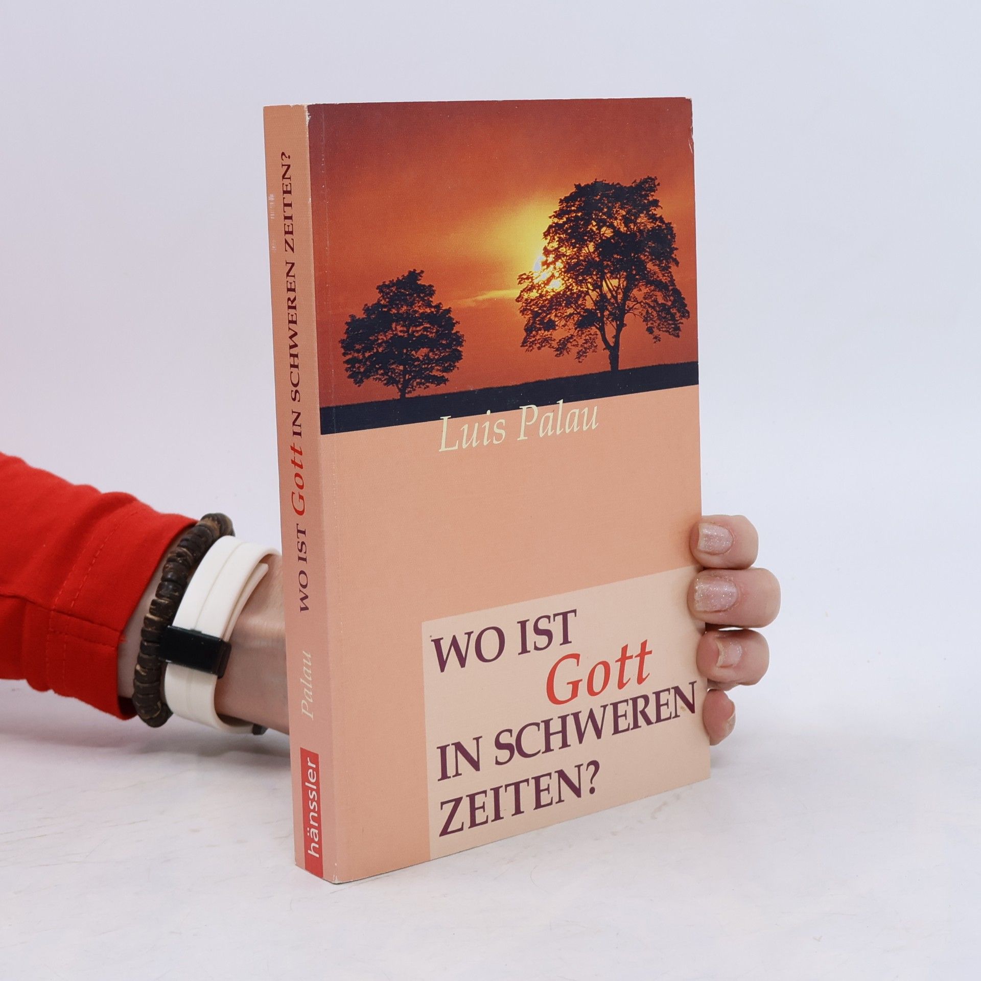Luis Palau Wo ist Gott in schweren Zeiten?