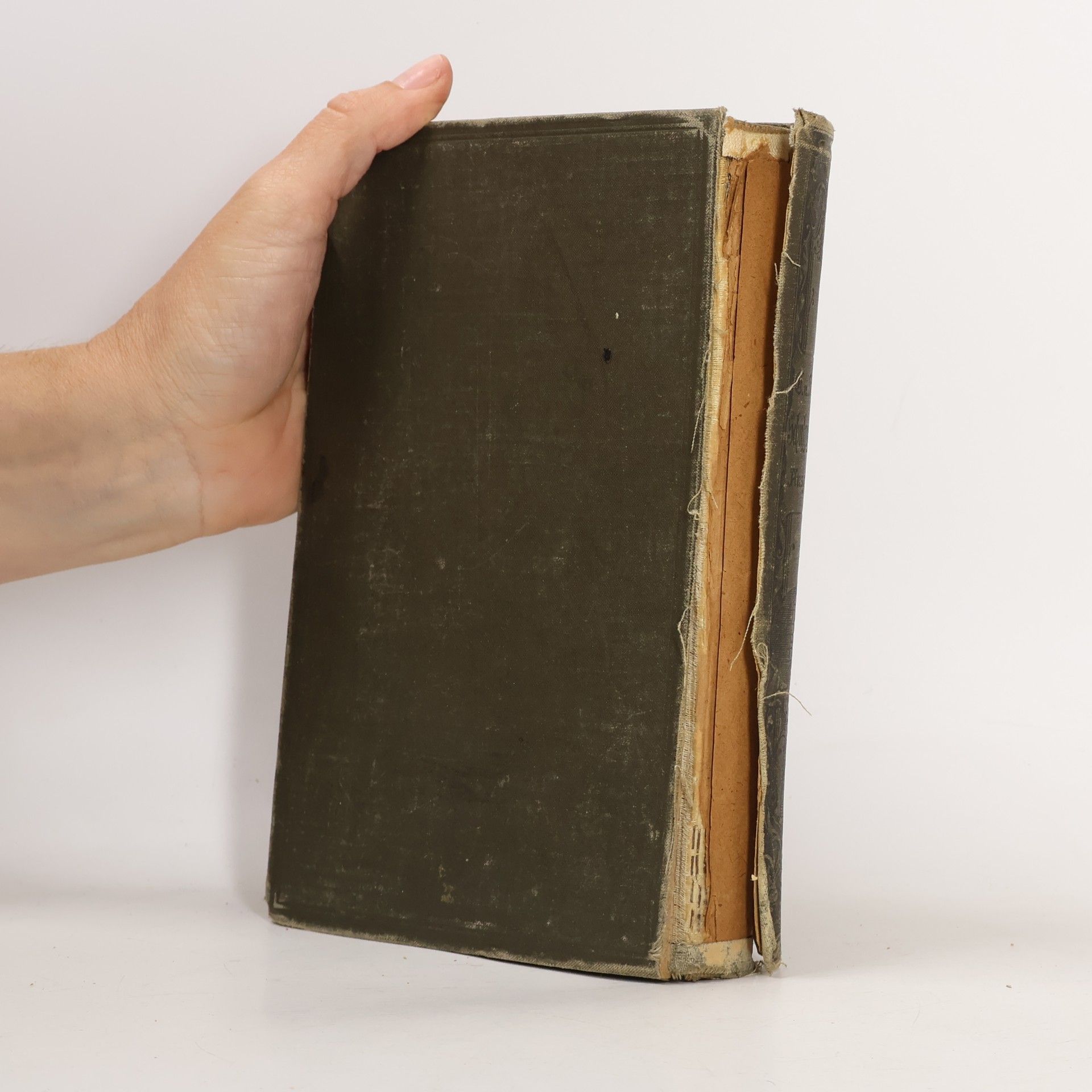 E. V. Seydlitz Lehrbücher der Geographie
