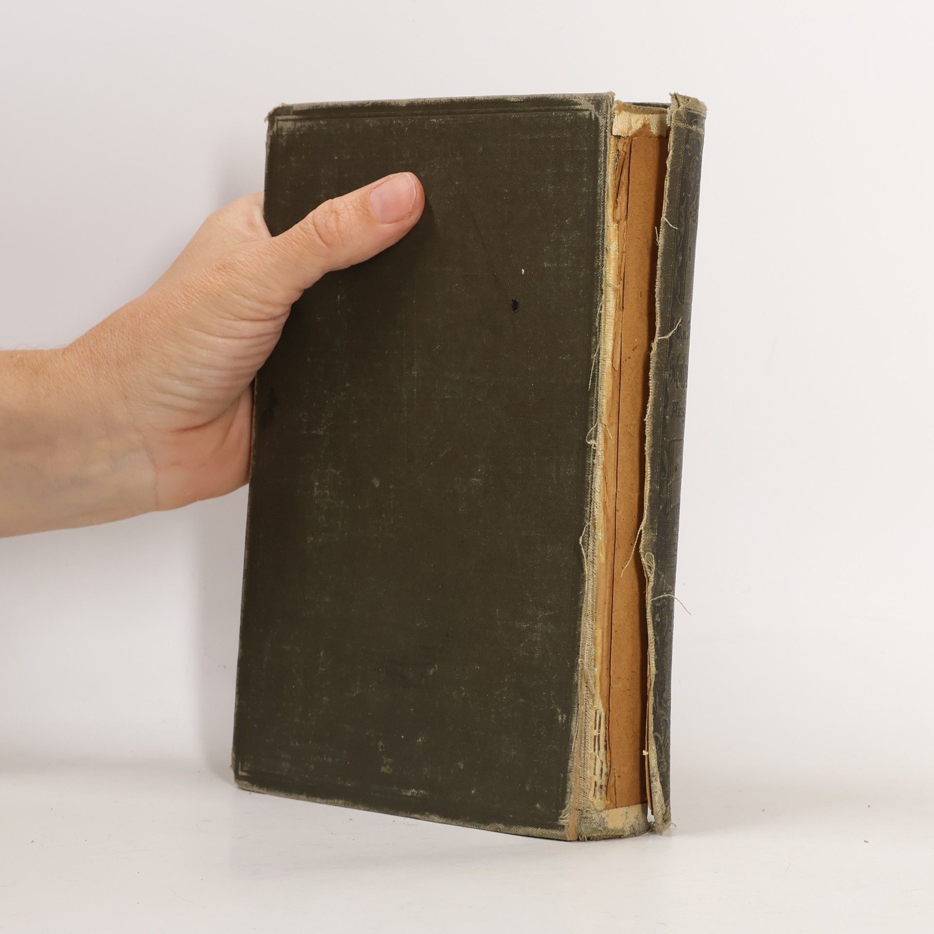 E. V. Seydlitz Lehrbücher der Geographie