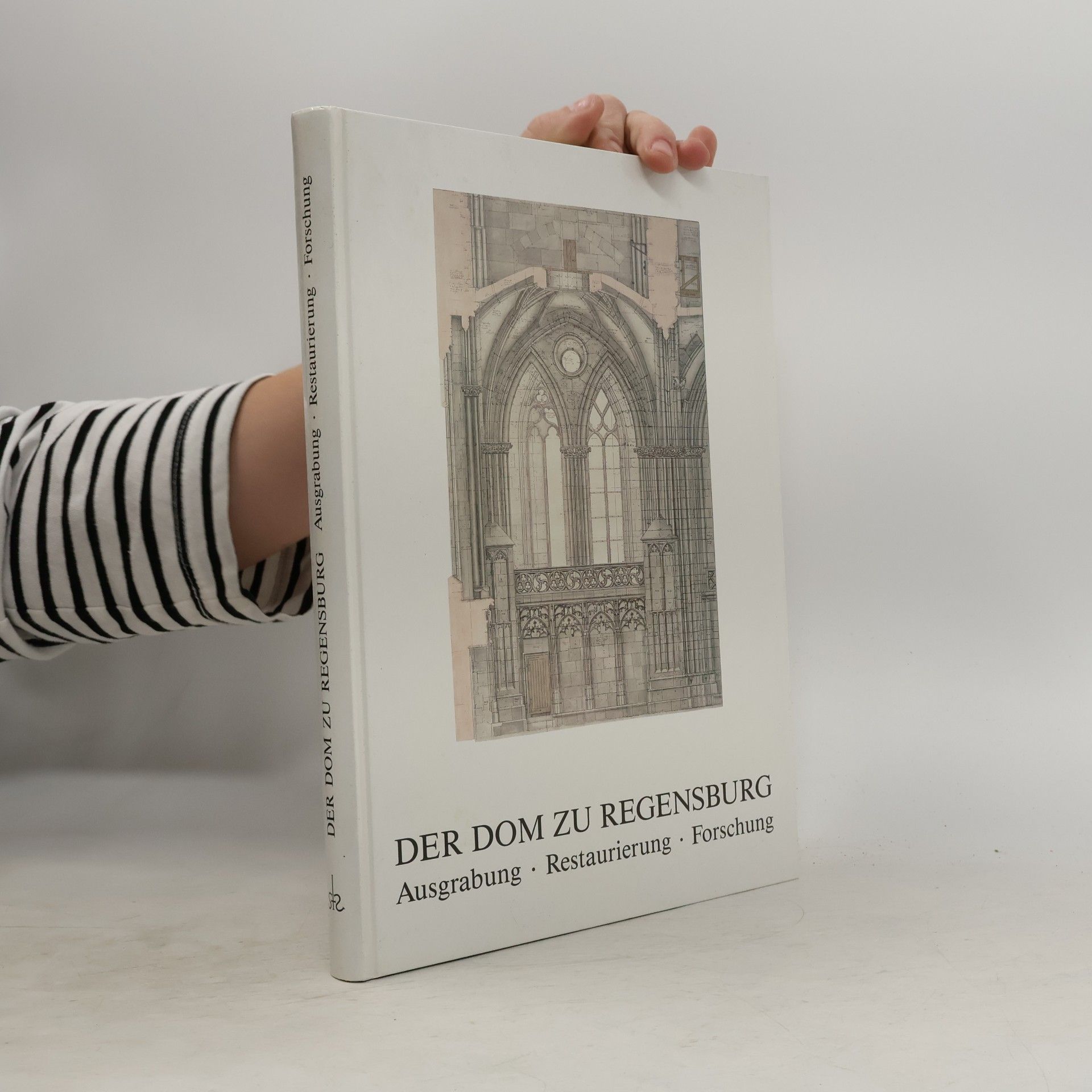 Autorenkollektiv Der Dom zu Regensburg