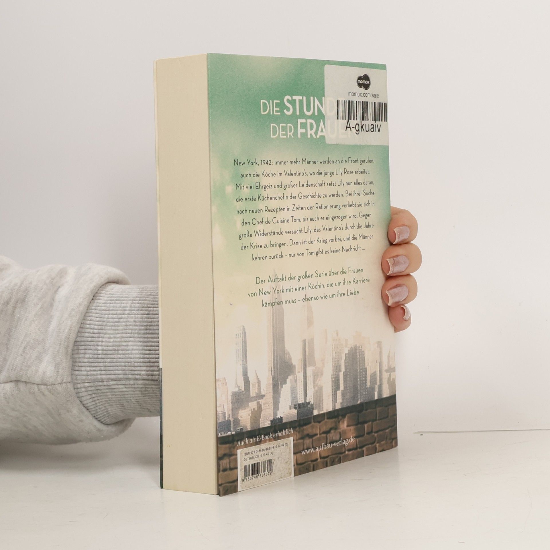 Ella Carey Die Frauen von New York - Glanz der Freiheit