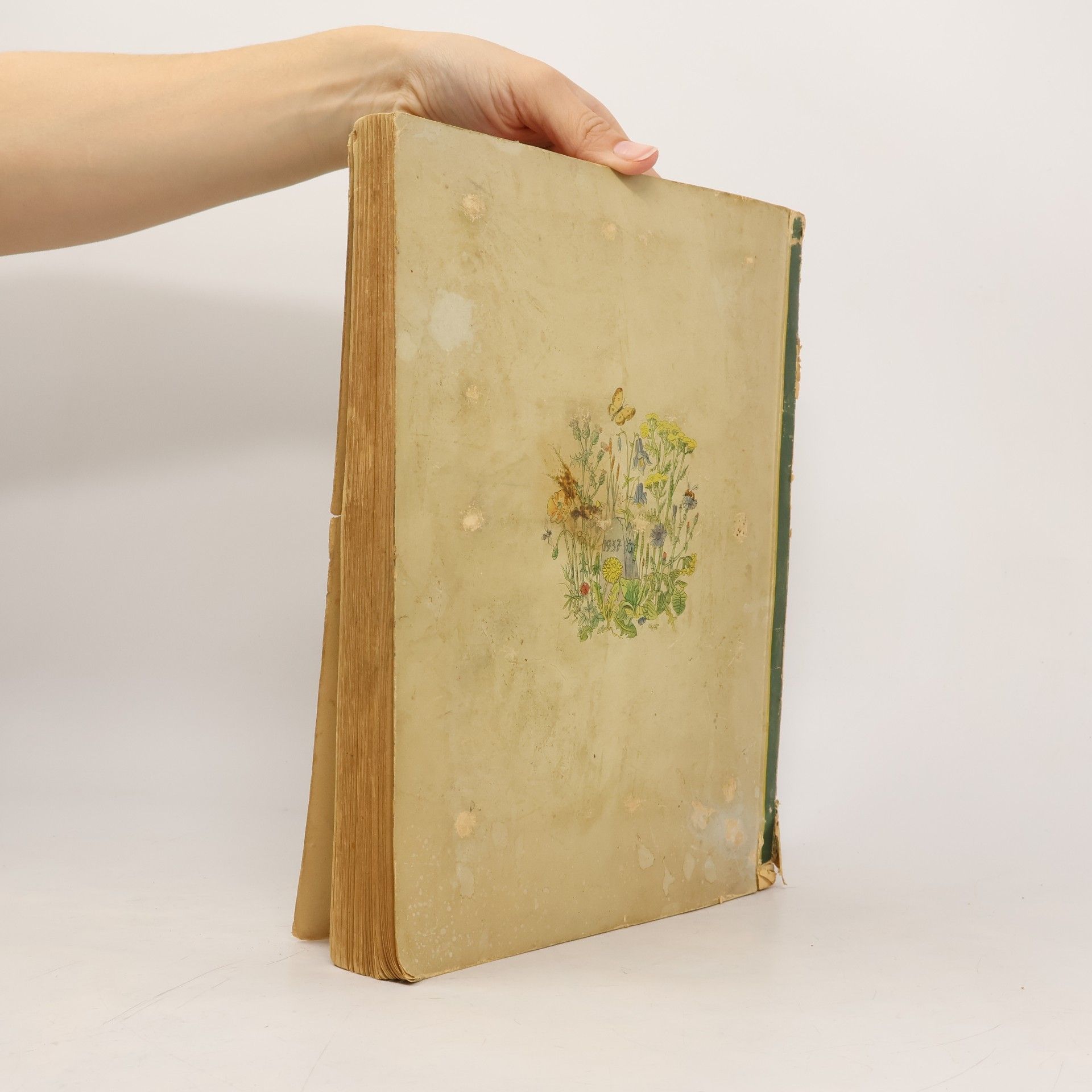 Walter Nöldner Aus Wald und Flur