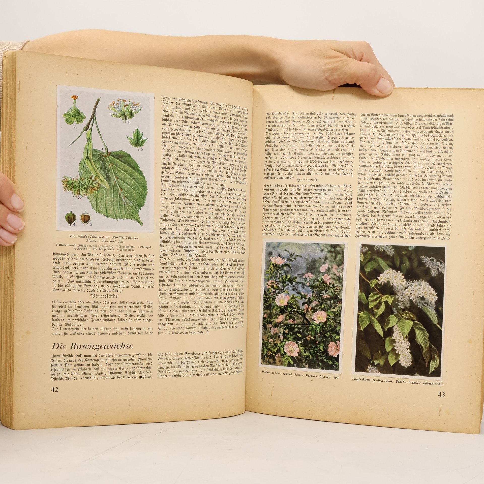 Walter Nöldner Aus Wald und Flur