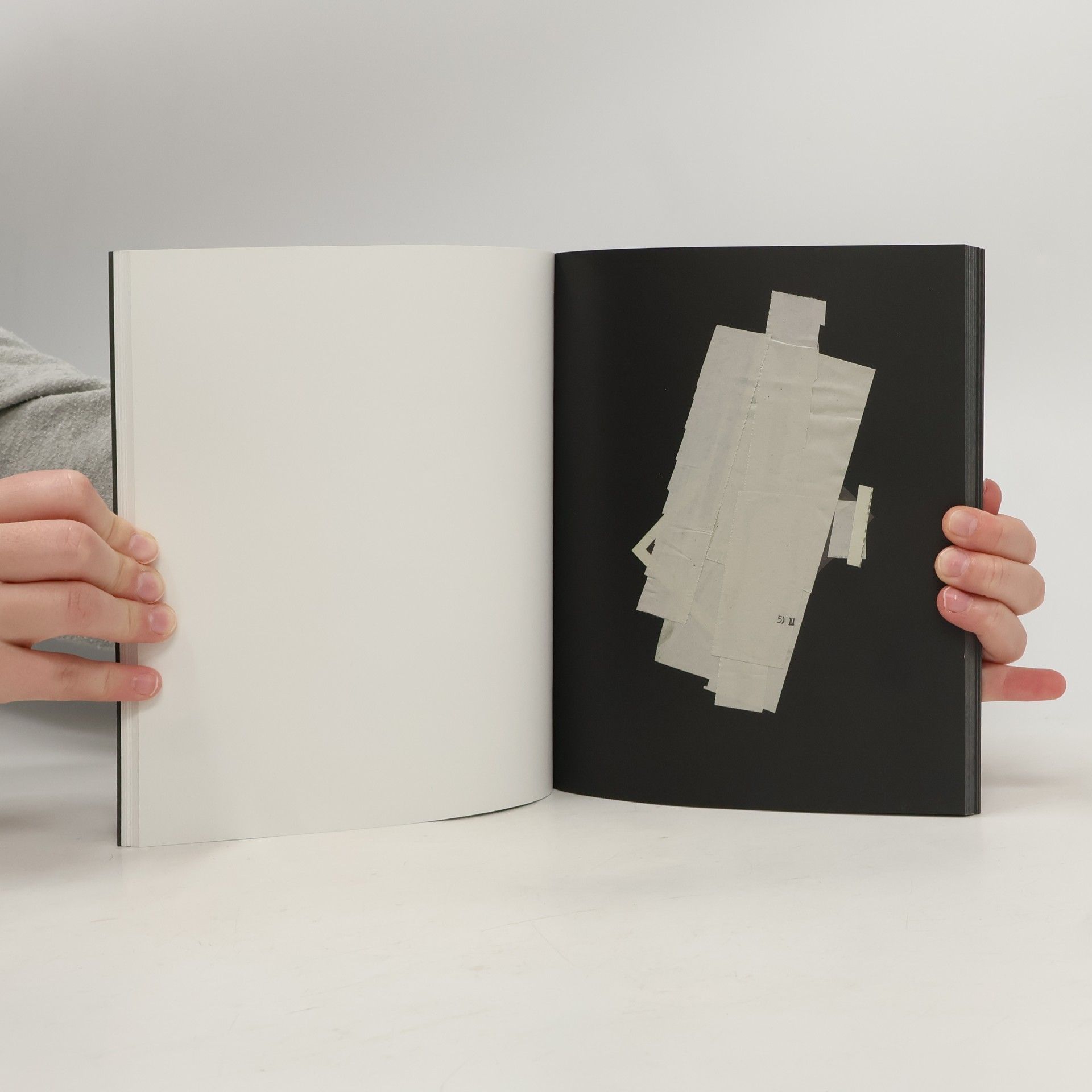 Louisa Baberi Aesthetics of the antrum