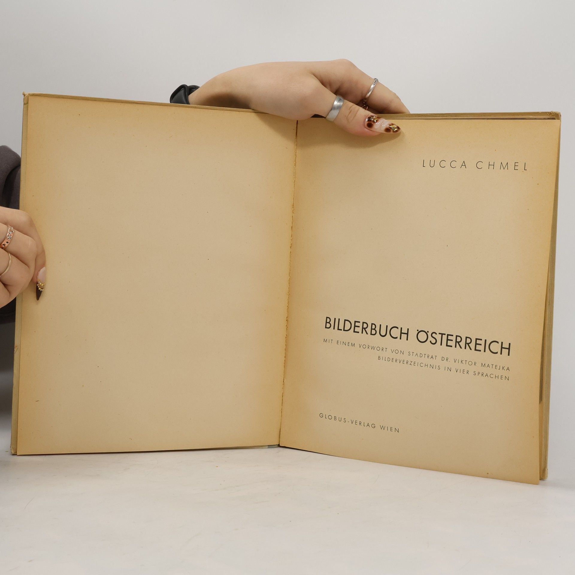Lucca Chmel Bilderbuch Österreich