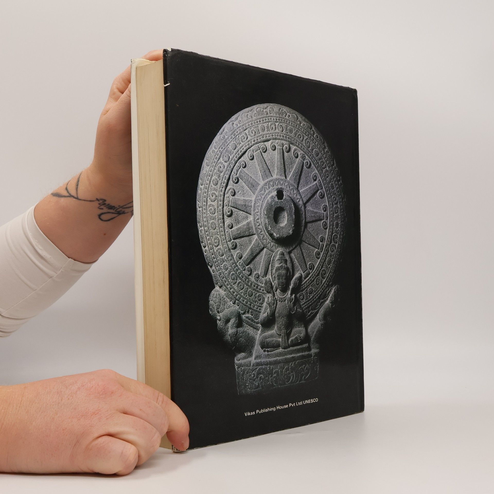 Kolektiv autorů The Image of the Buddha