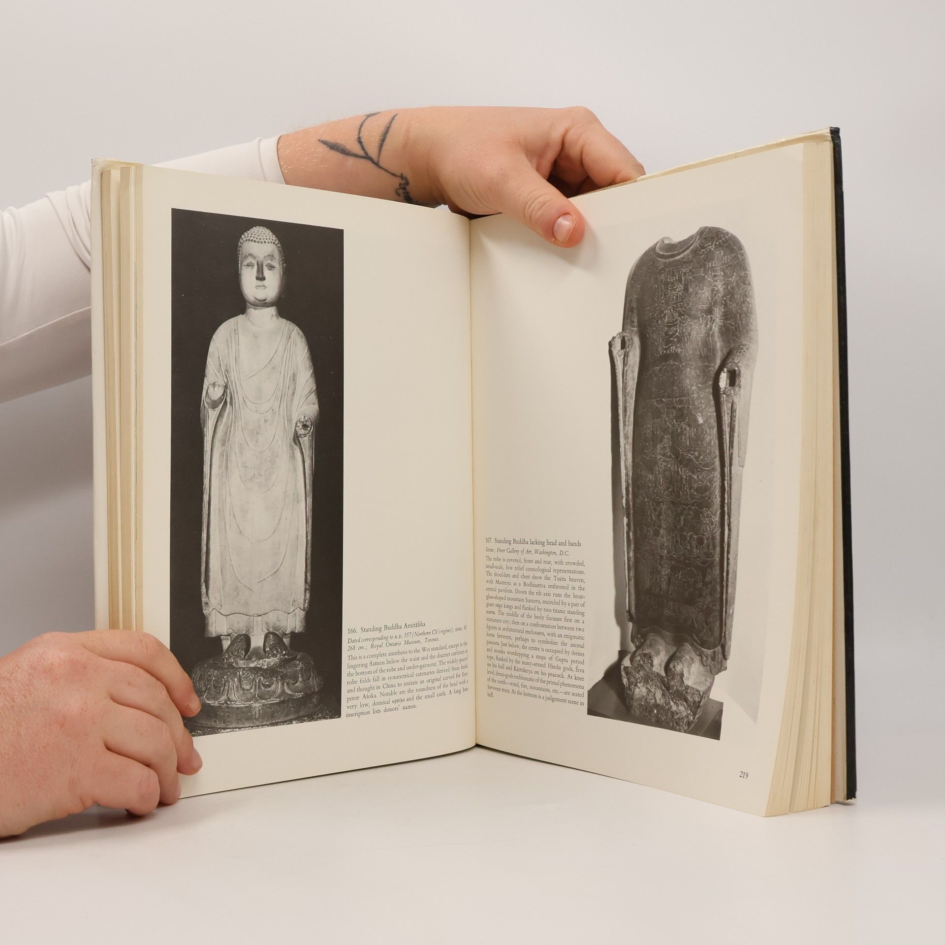 Kolektiv autorů The Image of the Buddha