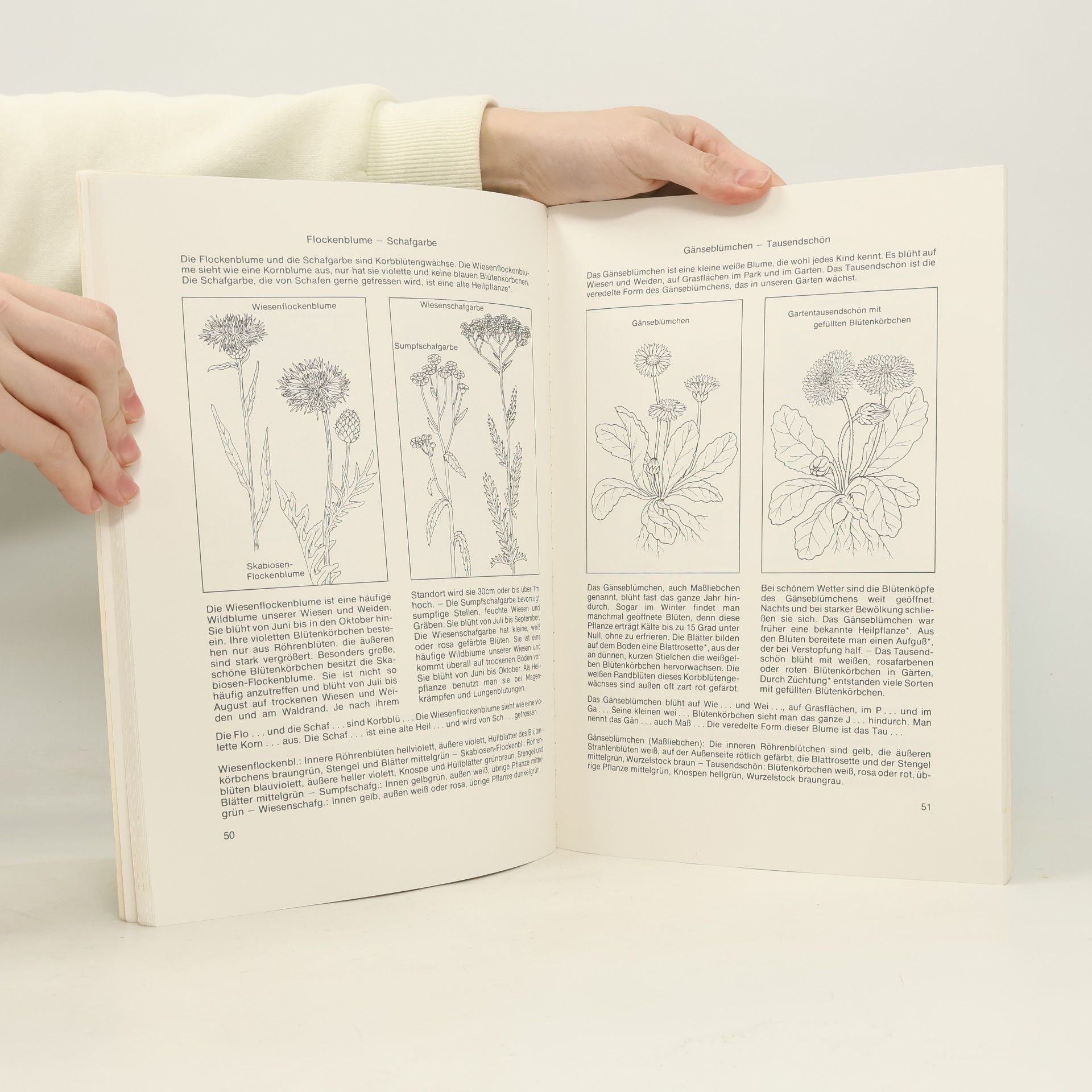 Ursula Lauster Meine Pflanzenwelt