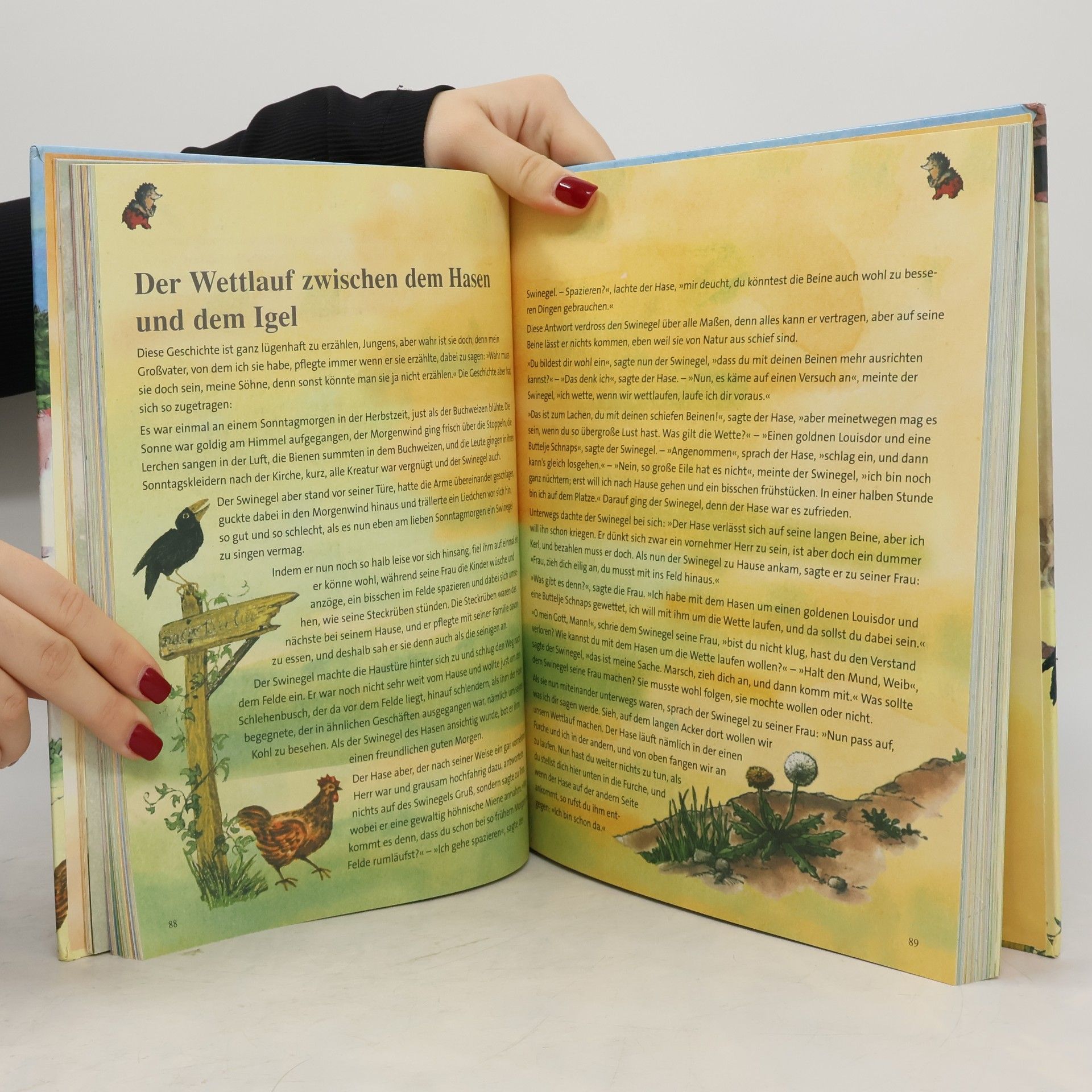 Ingrid Pabst Das grosse Weihnachtsbuch für die ganze Familie