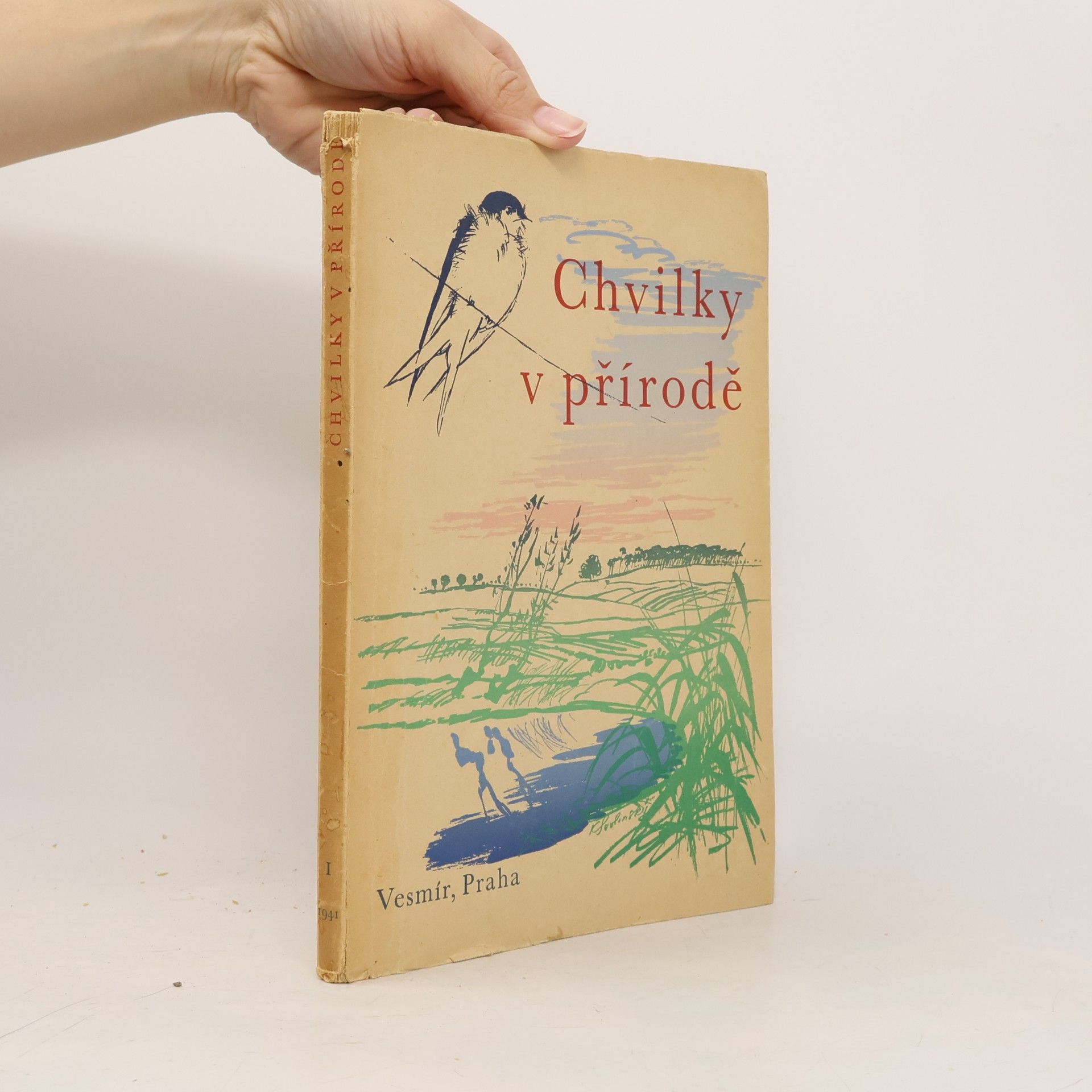 Autorenkollektiv Chvilky v přírodě