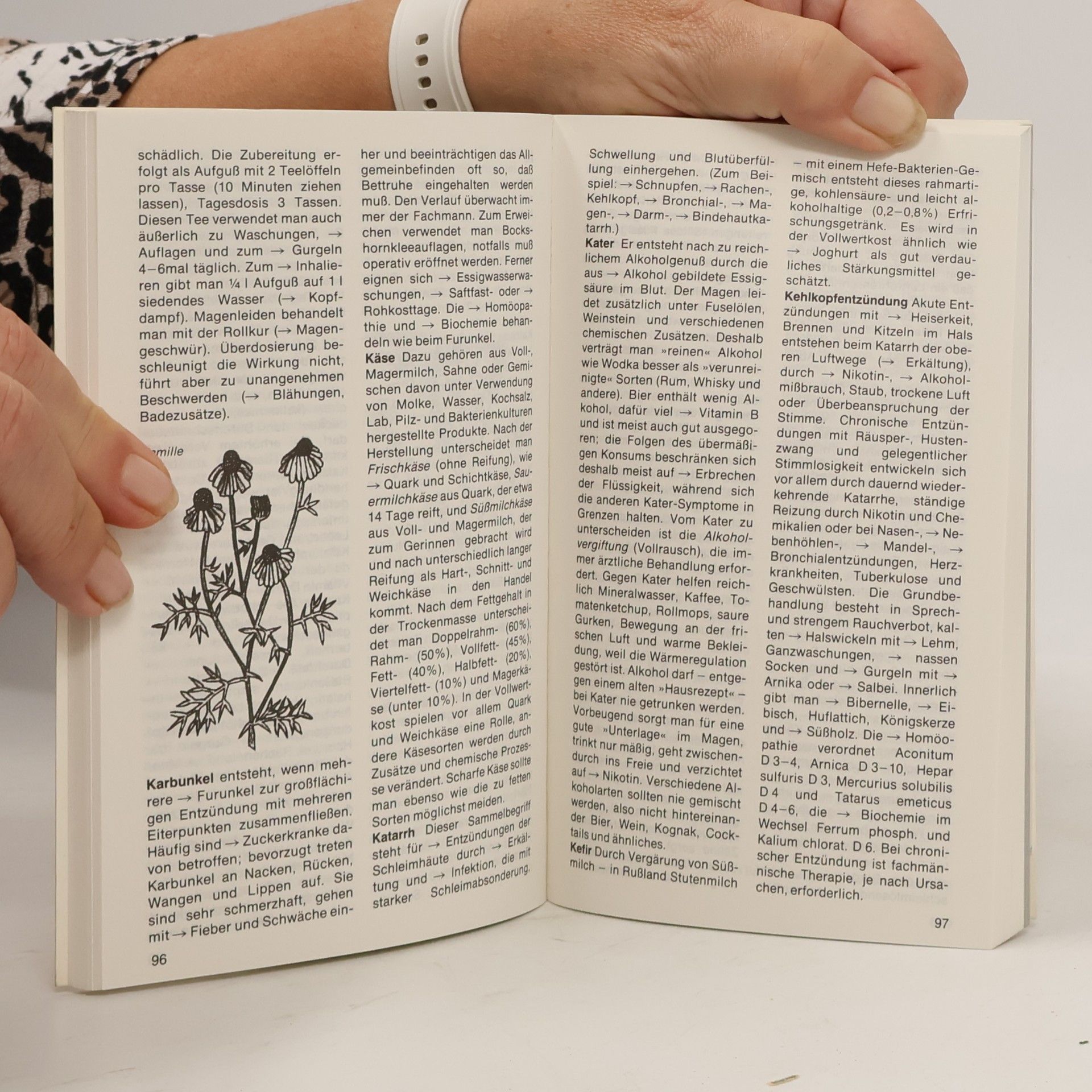 Gerhard Leibold Taschenlexikon der Naturheilkunde