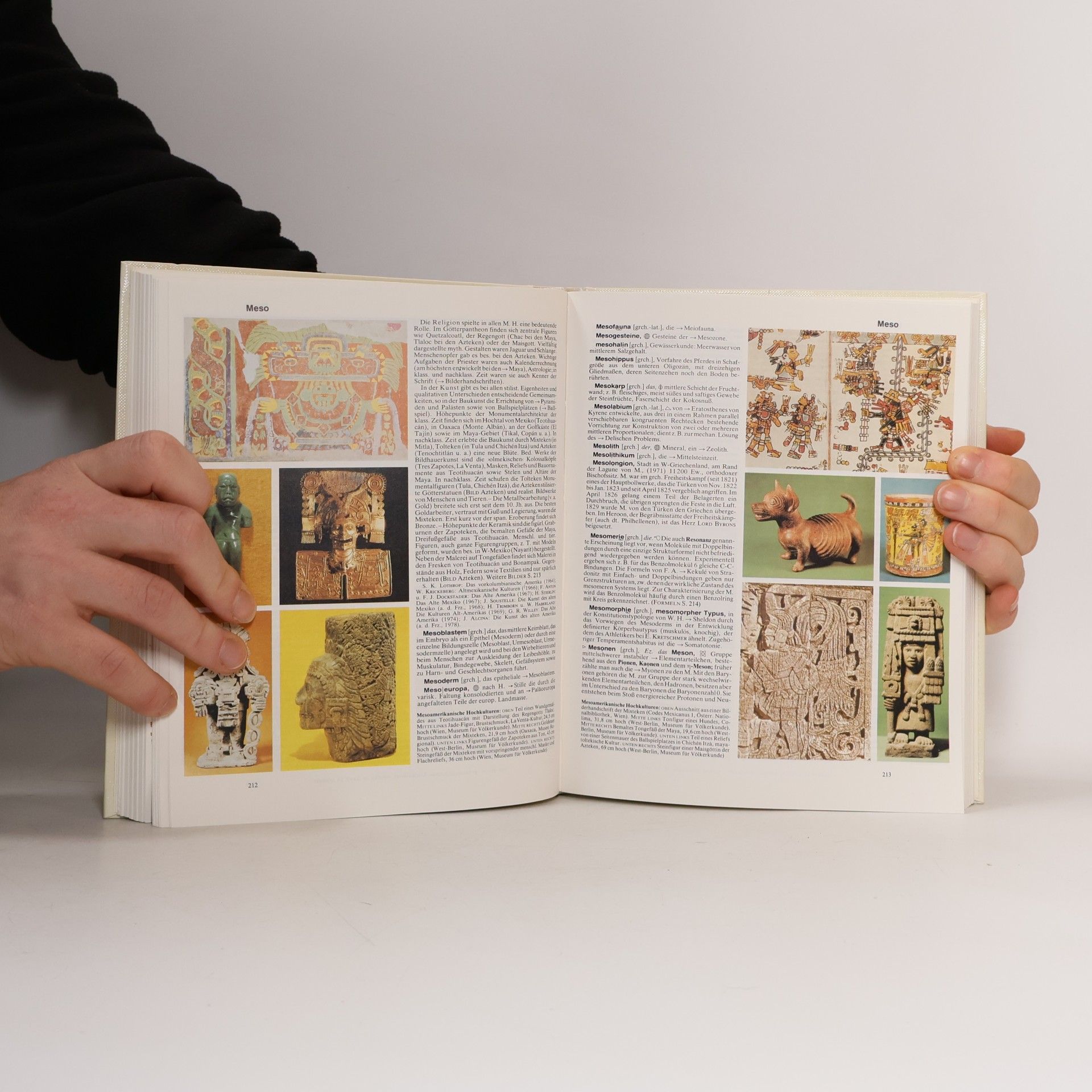 Auteurscollectief Der Grosse Brockhaus 14