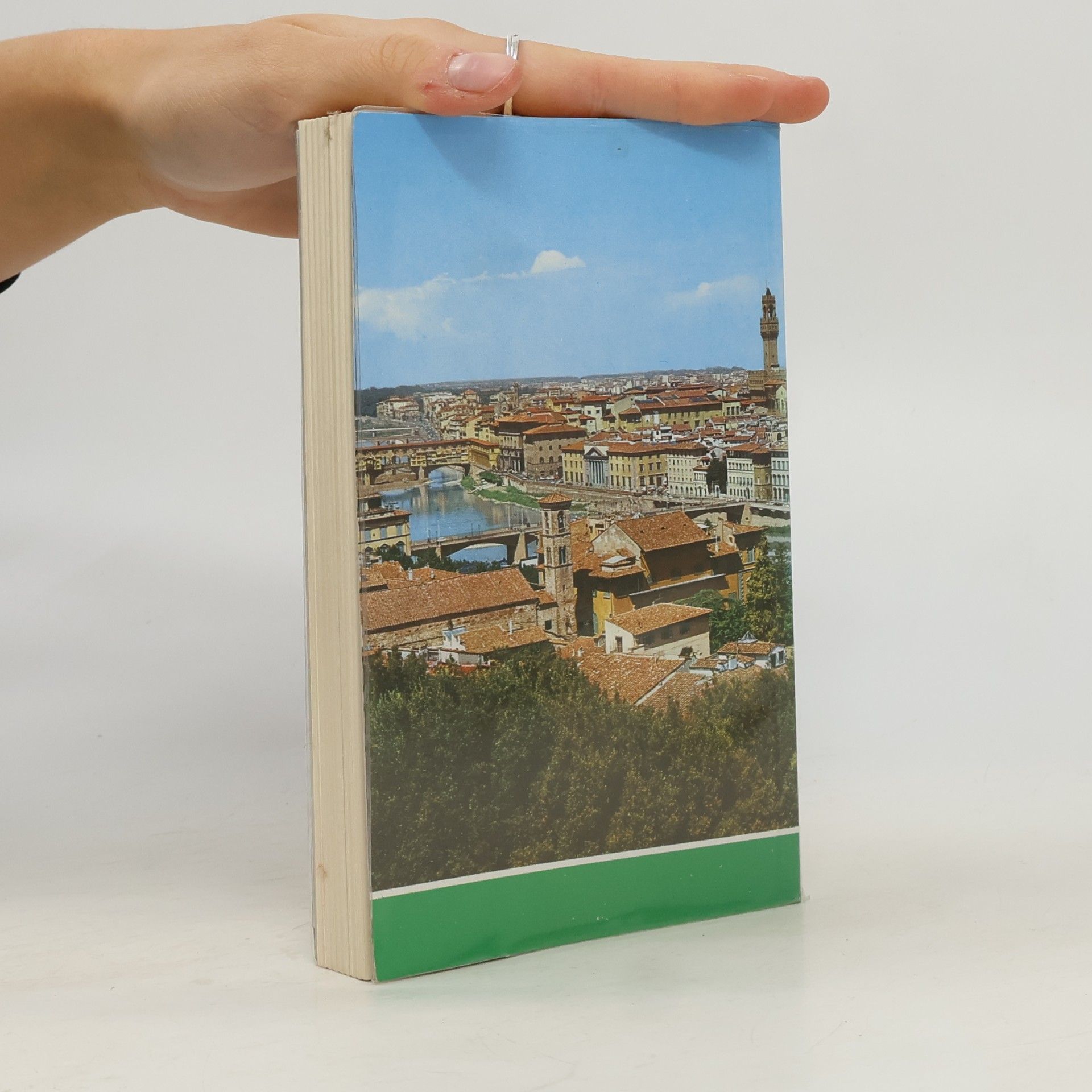Kolektiv autorů Florenz
