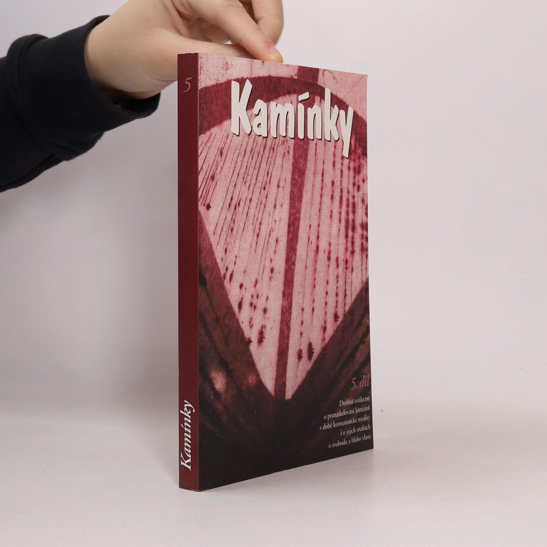 Autorenkollektiv Kamínky 5