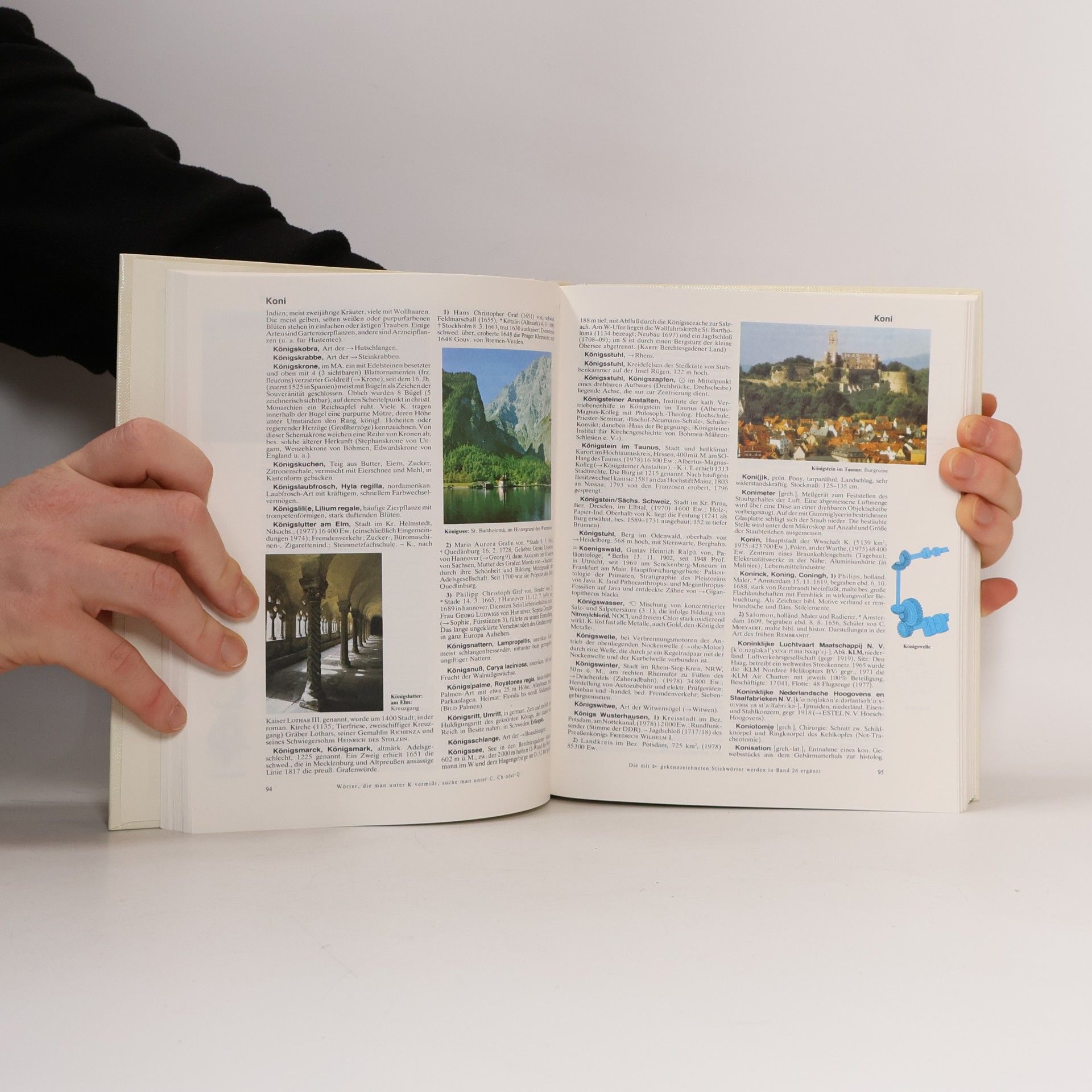 Autorenkollektiv Der grosse Brockhaus 12