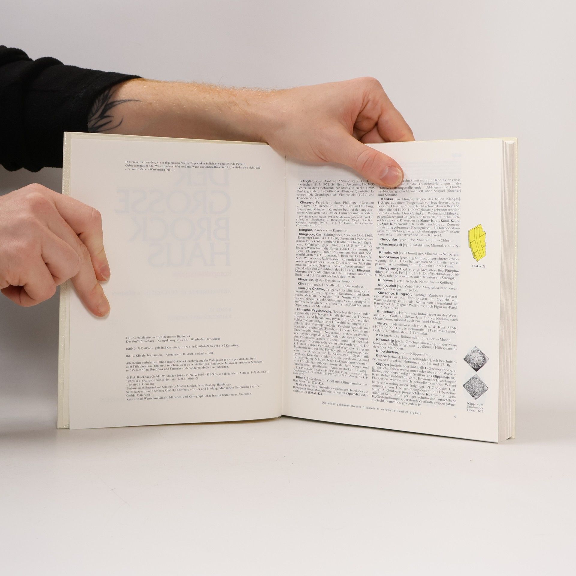 Autorenkollektiv Der grosse Brockhaus 12