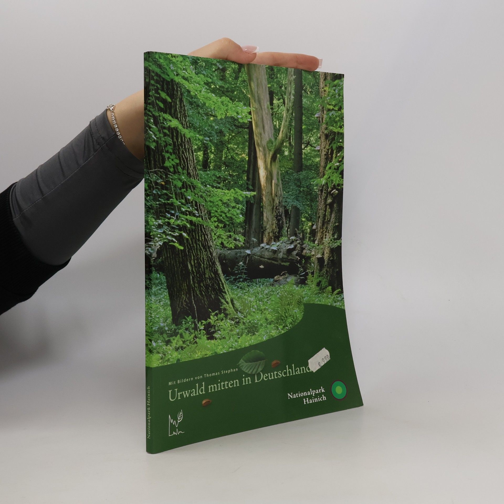 Urwald mitten in Deutschland
