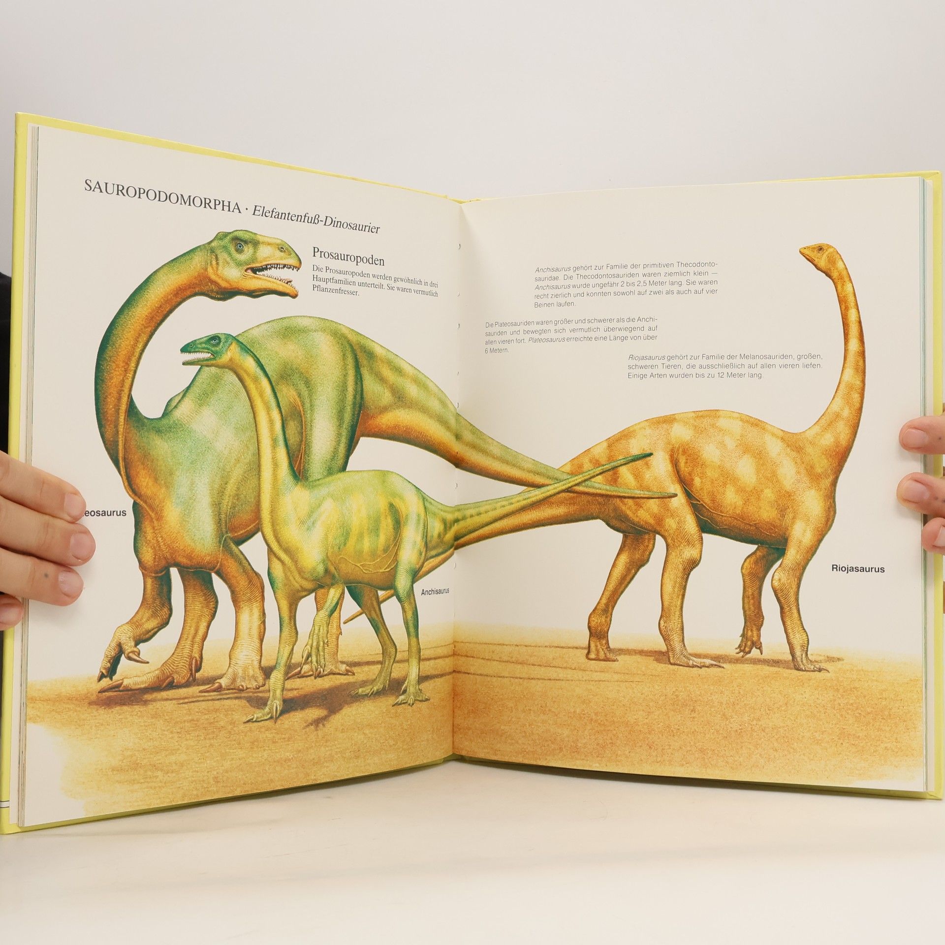Peter Zallinger Dinosaurier und andere Tiere der Vorzeit