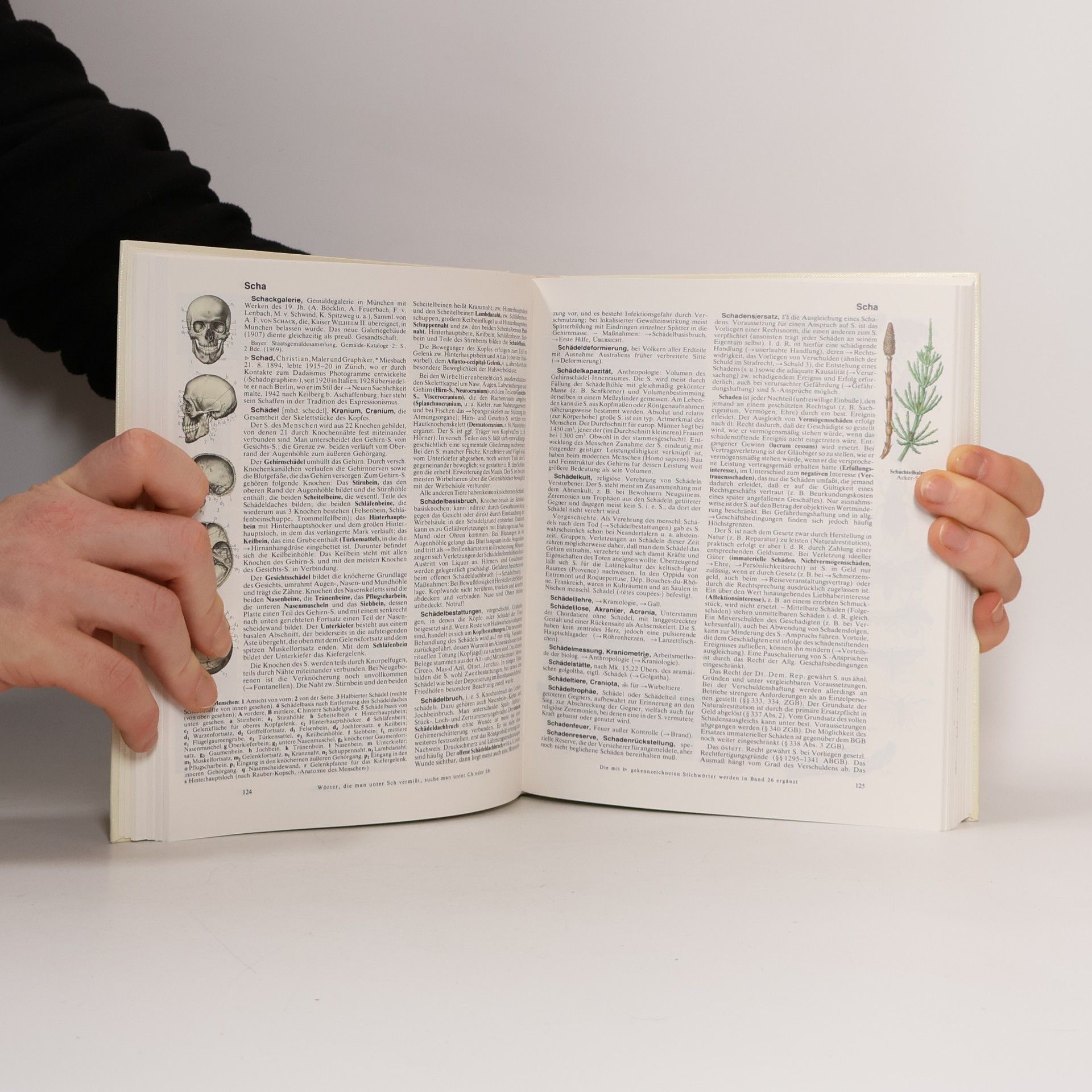 F. A. Brockhaus Der grosse Brockhaus Kompaktausgabe. Band 19