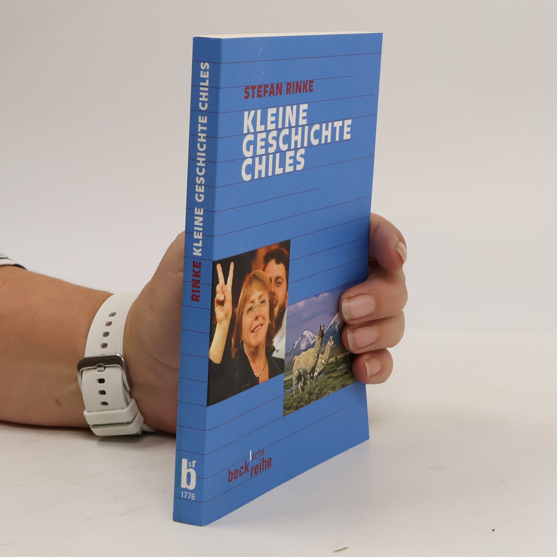 Kleine Geschichte Chiles