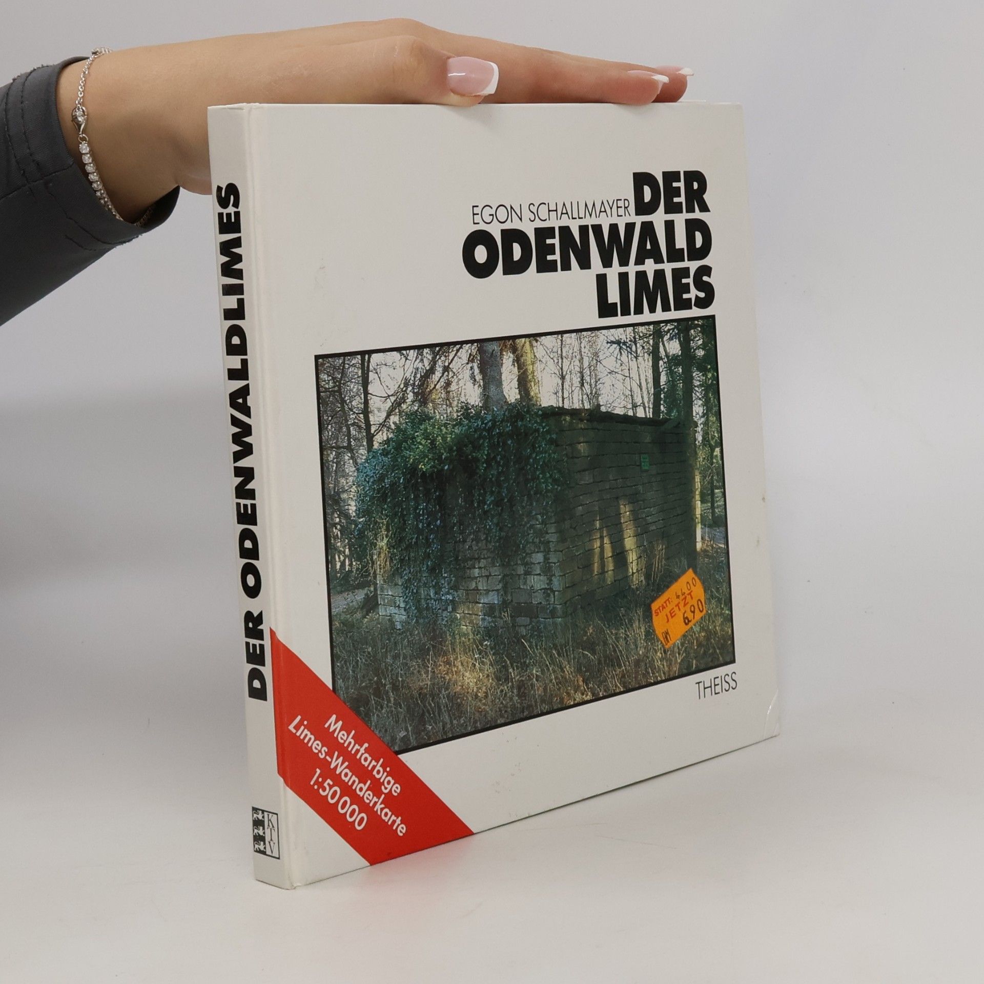 Der Odenwaldlimes