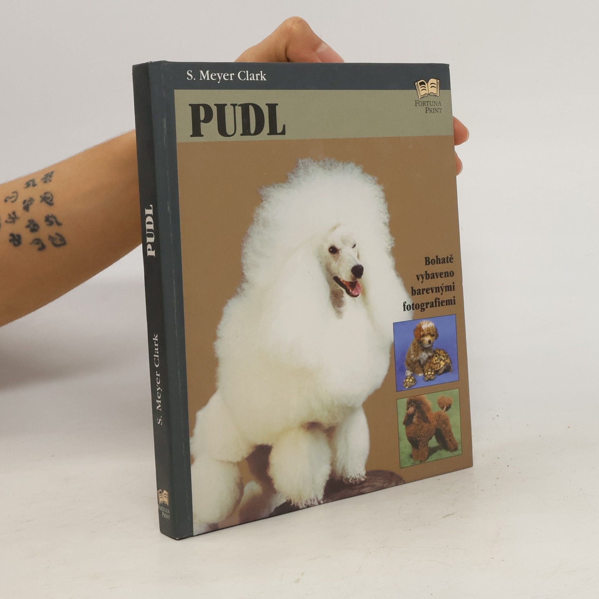 Pudl